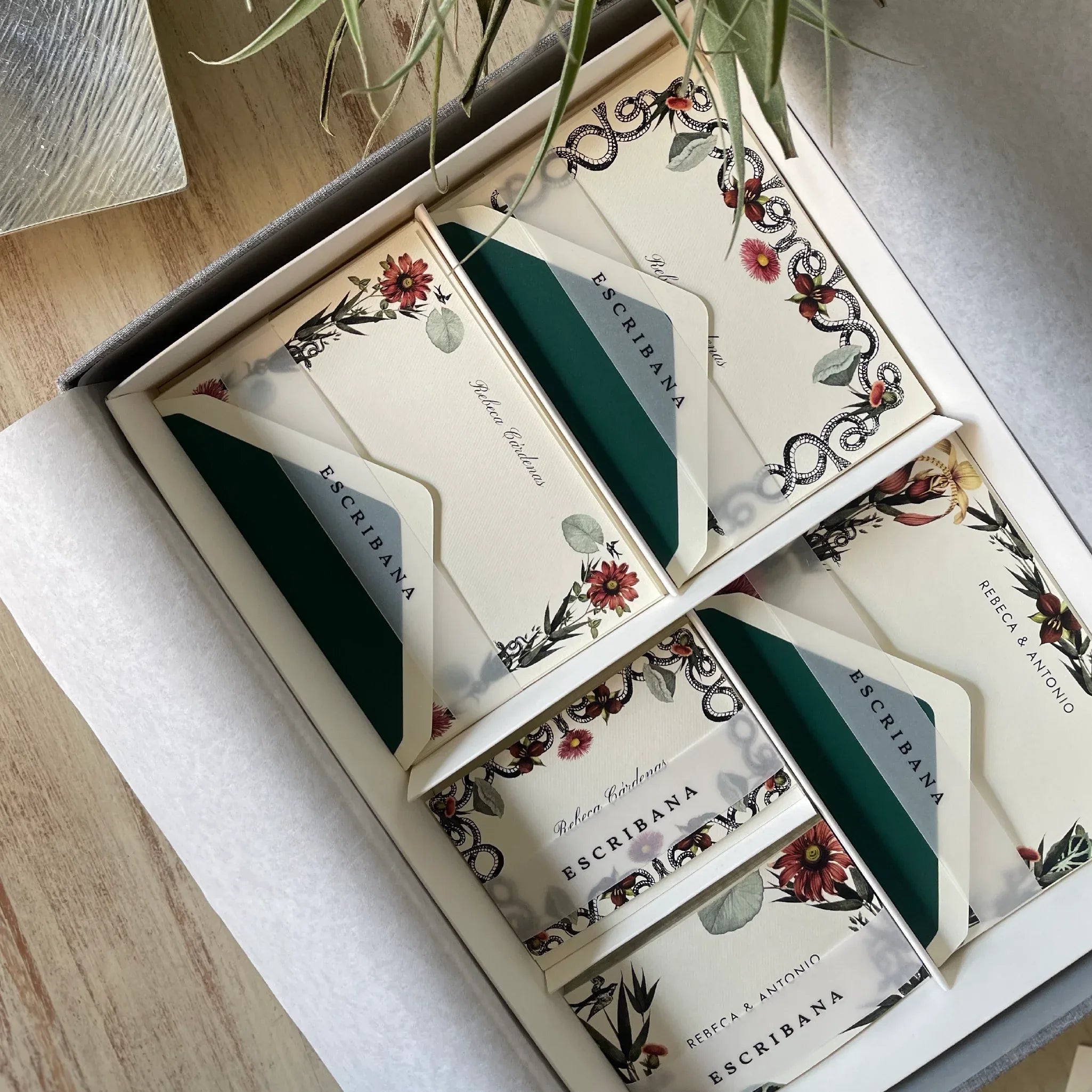 Caja Grande Flex Protea