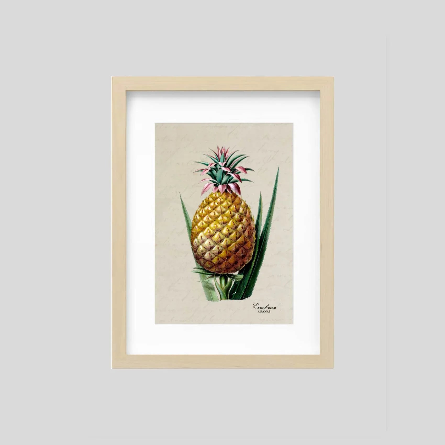 Cuadro mini Piña