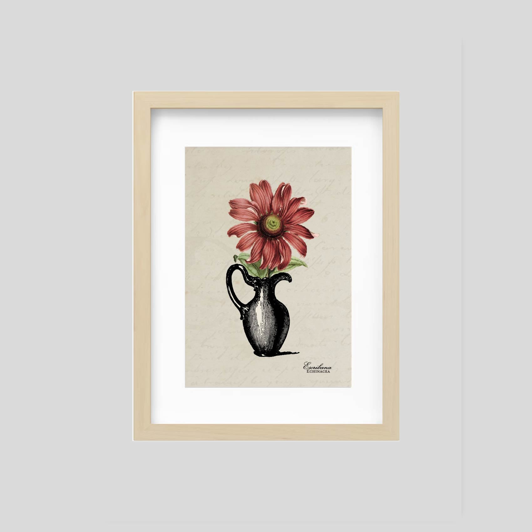 Cuadro mini Echinacea