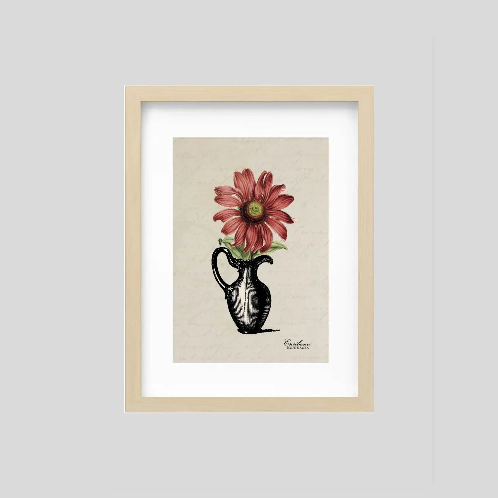 Cuadro mini Echinacea