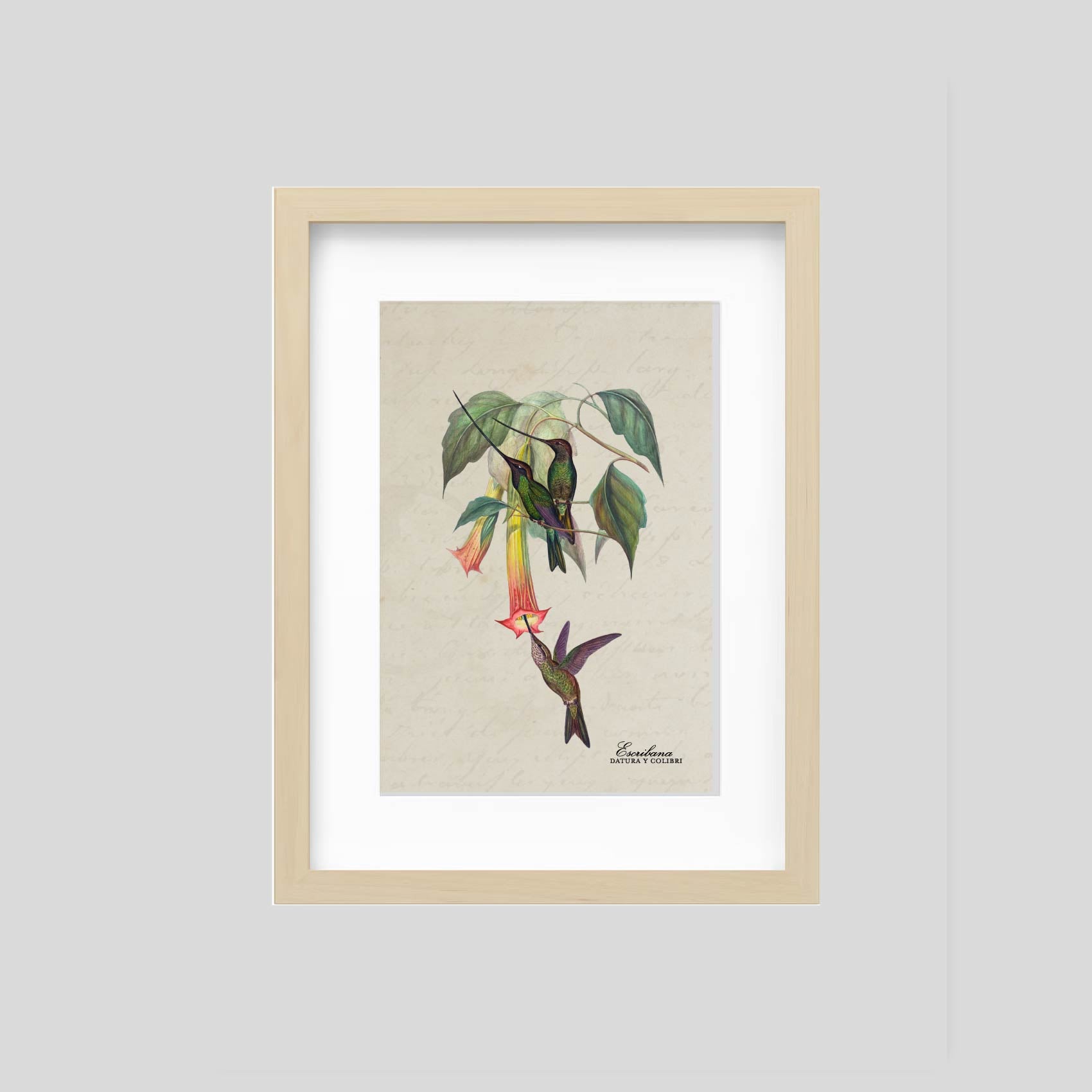 Cuadro mini Datura y colibri
