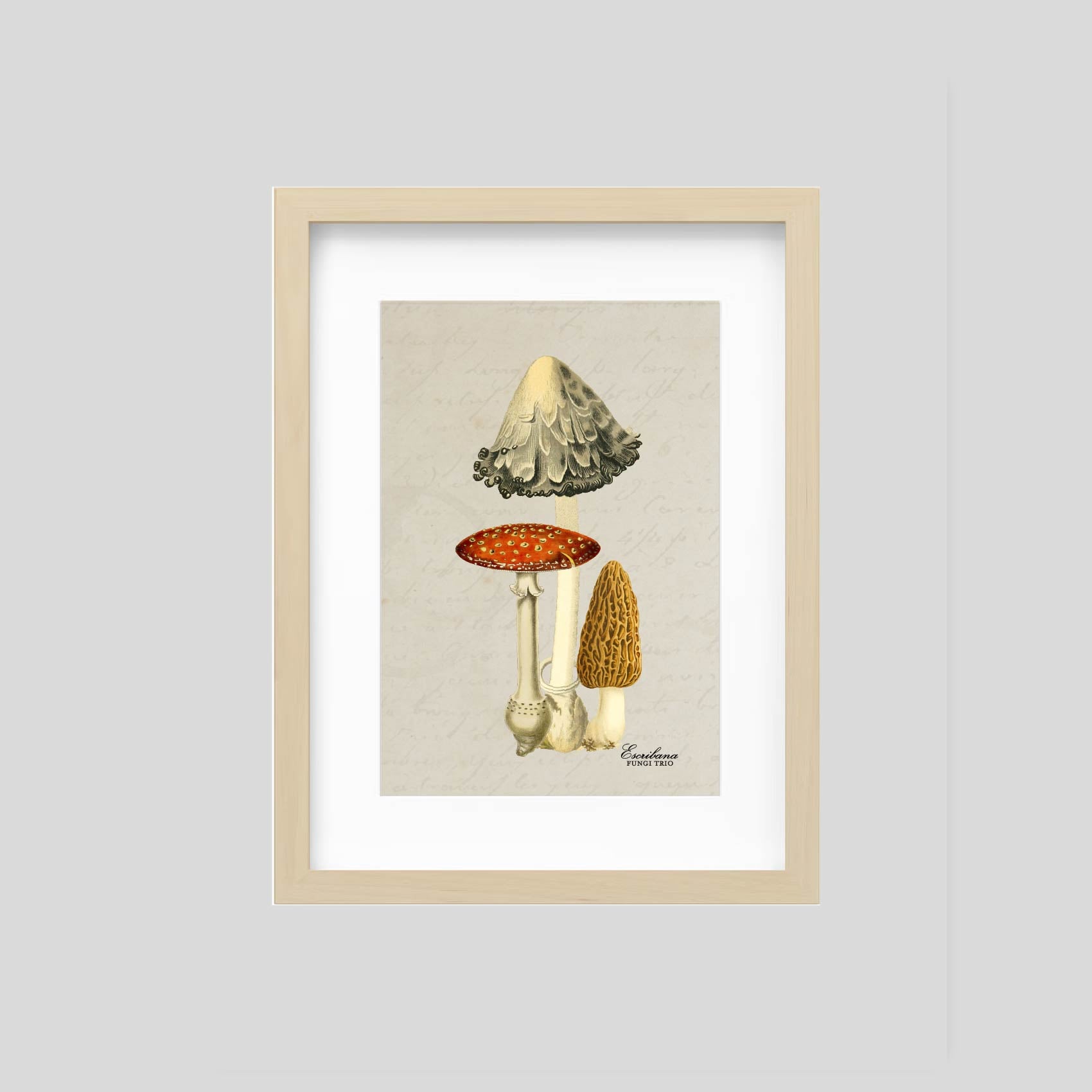 Cuadro mini Fungi trio