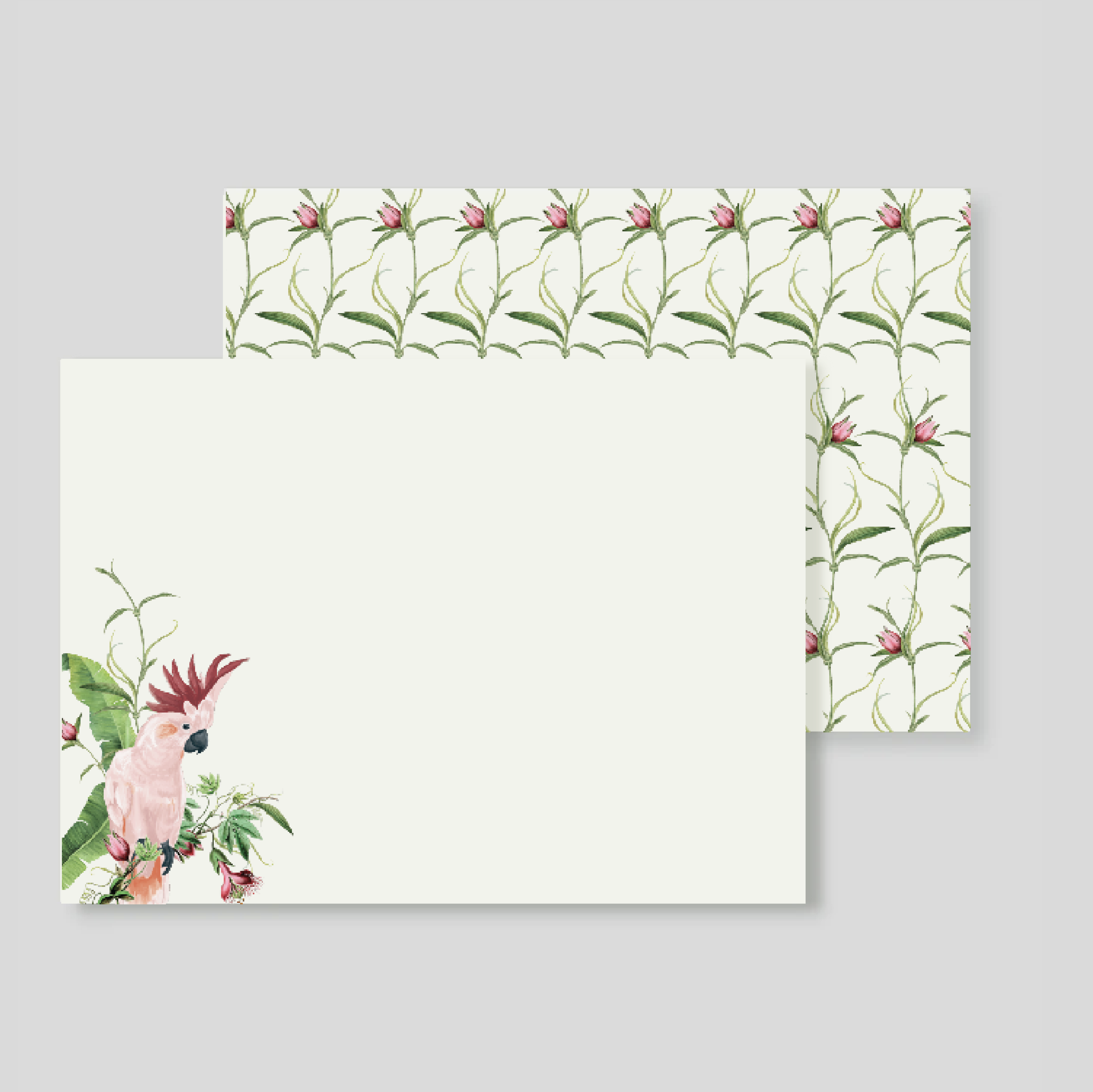 TARJETON XL Cacatua Pembe