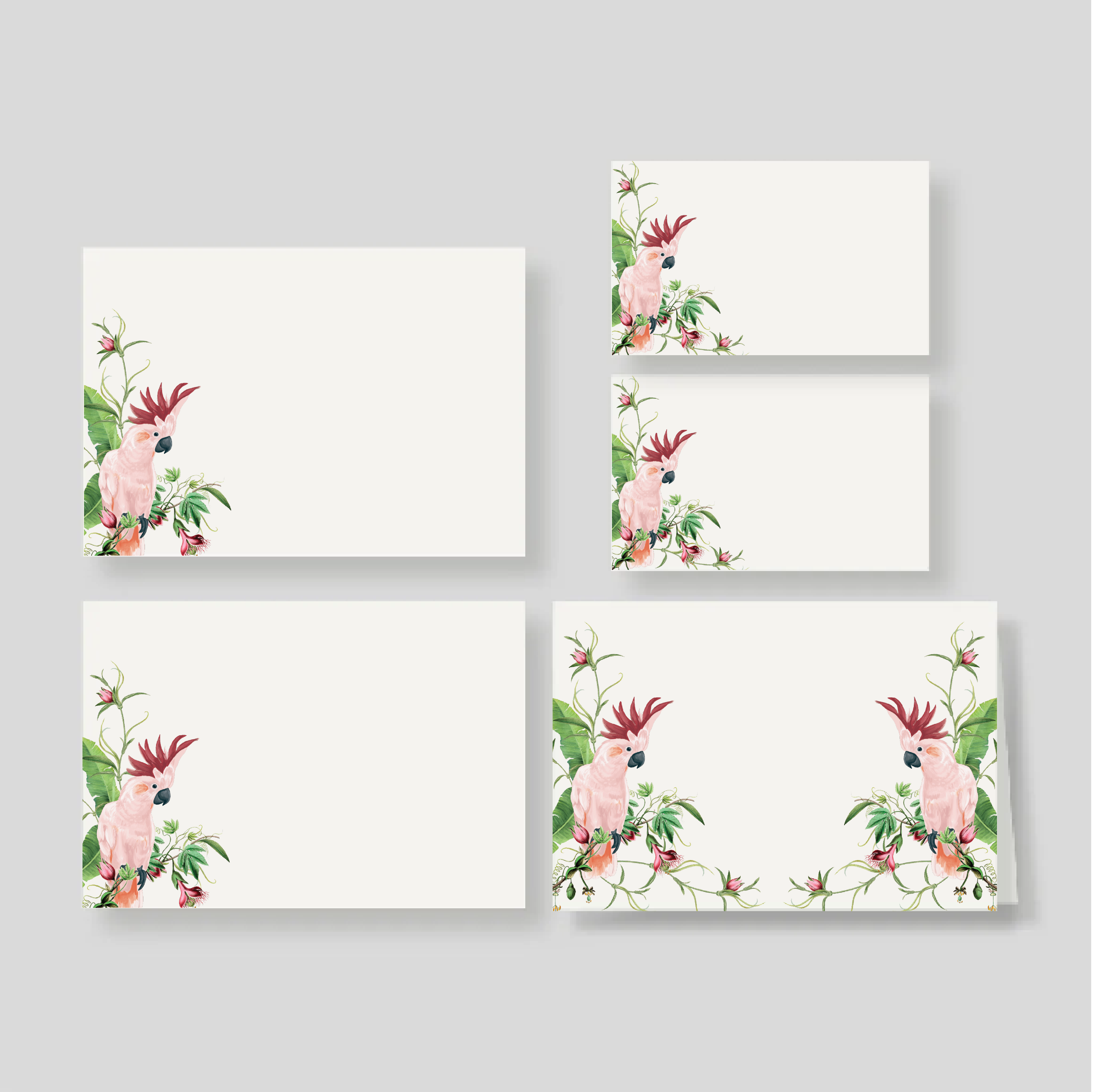 Caja Grande Flex CACATUA PEMBE