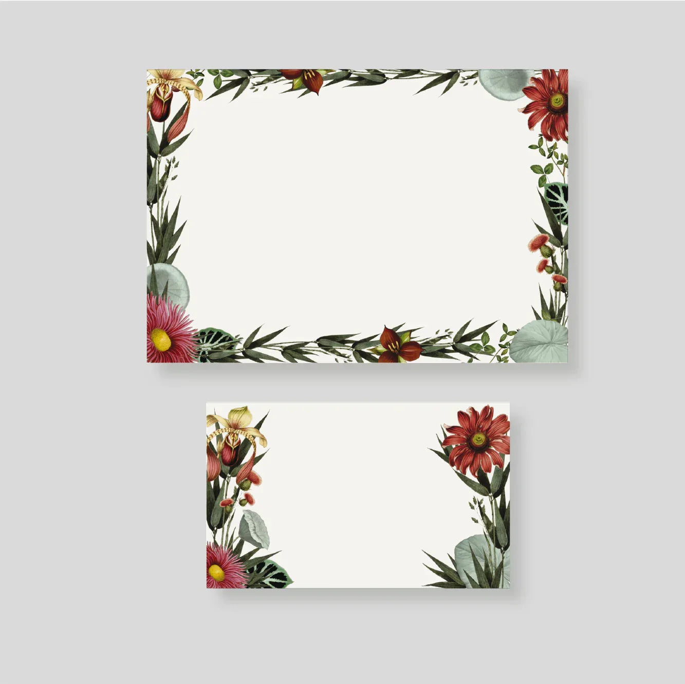 Caja pequeña Equinacea