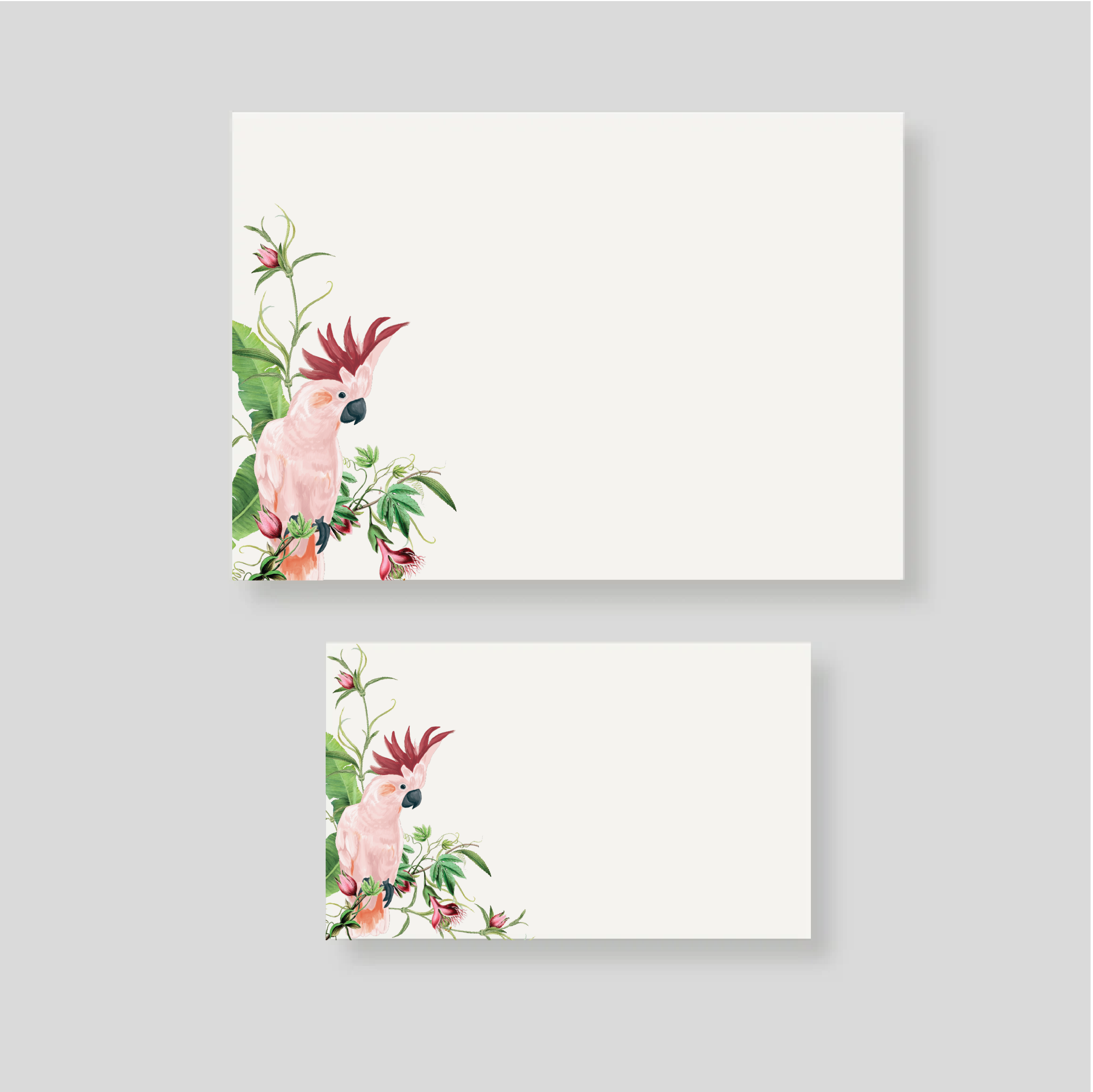 Caja pequeña CACATUA PEMBE