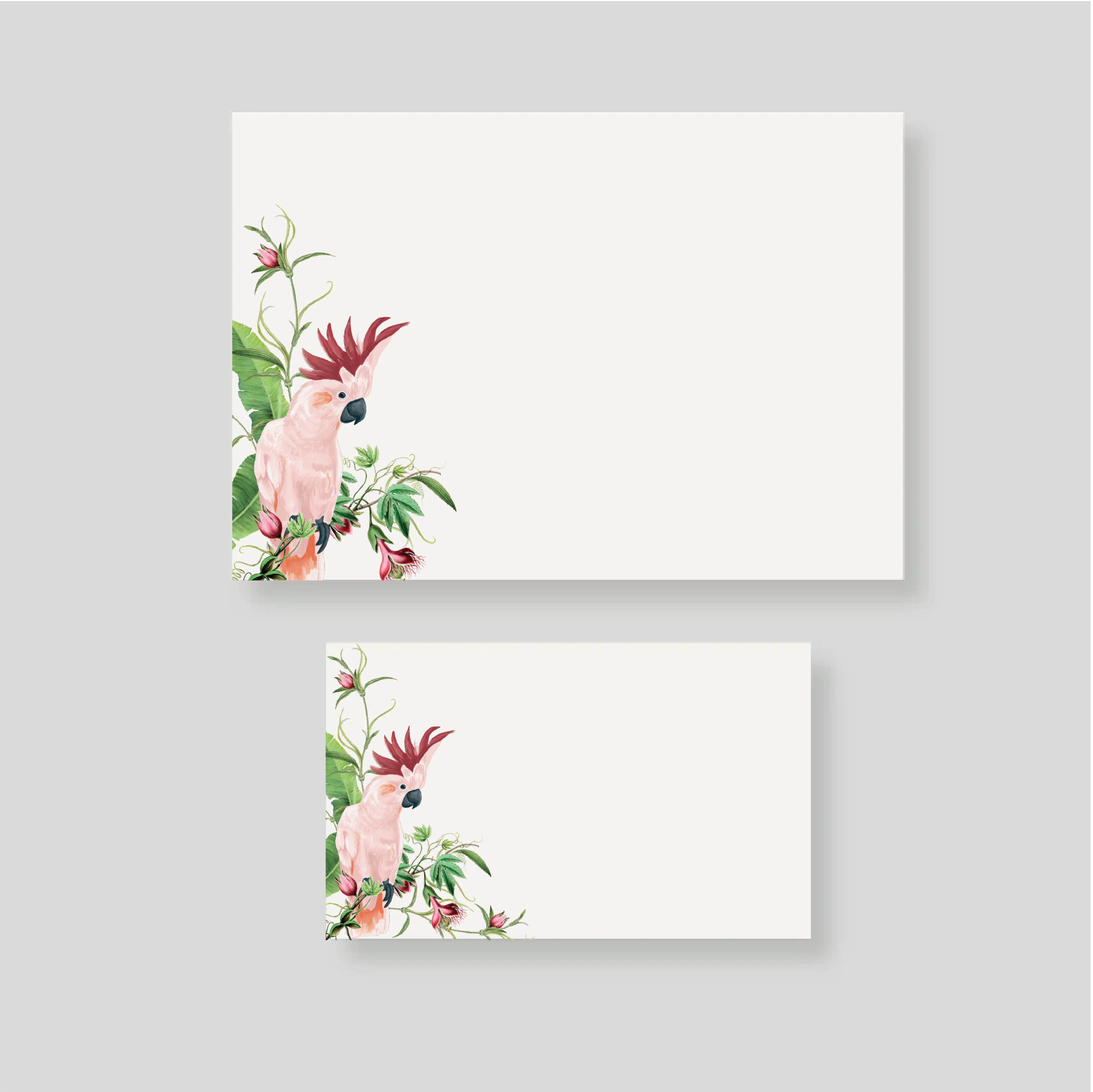 Caja pequeña CACATUA PEMBE