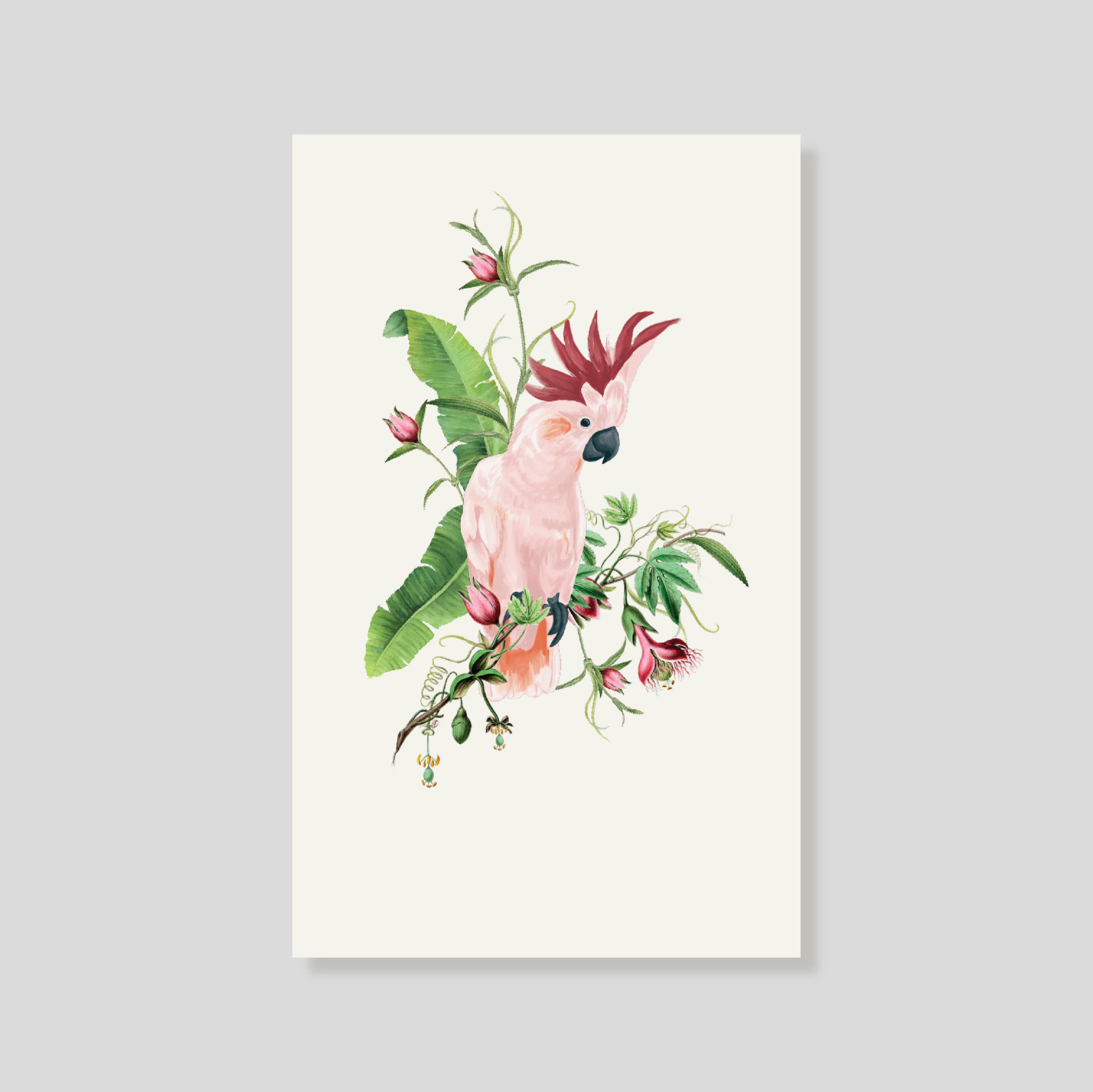 Tarjeta Personal Cacatua Pembe (v)