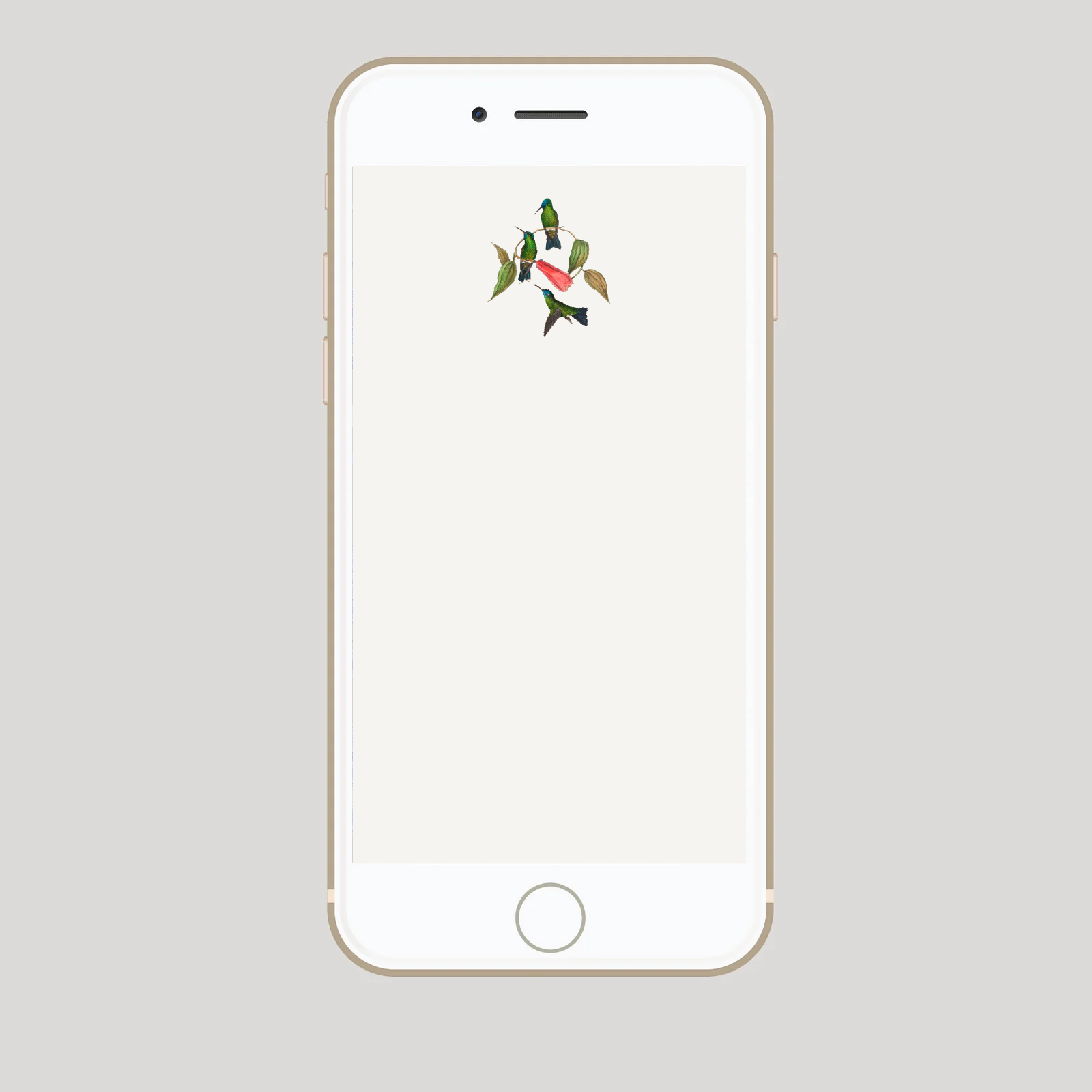 INVITACION DIGITAL COLIBRI