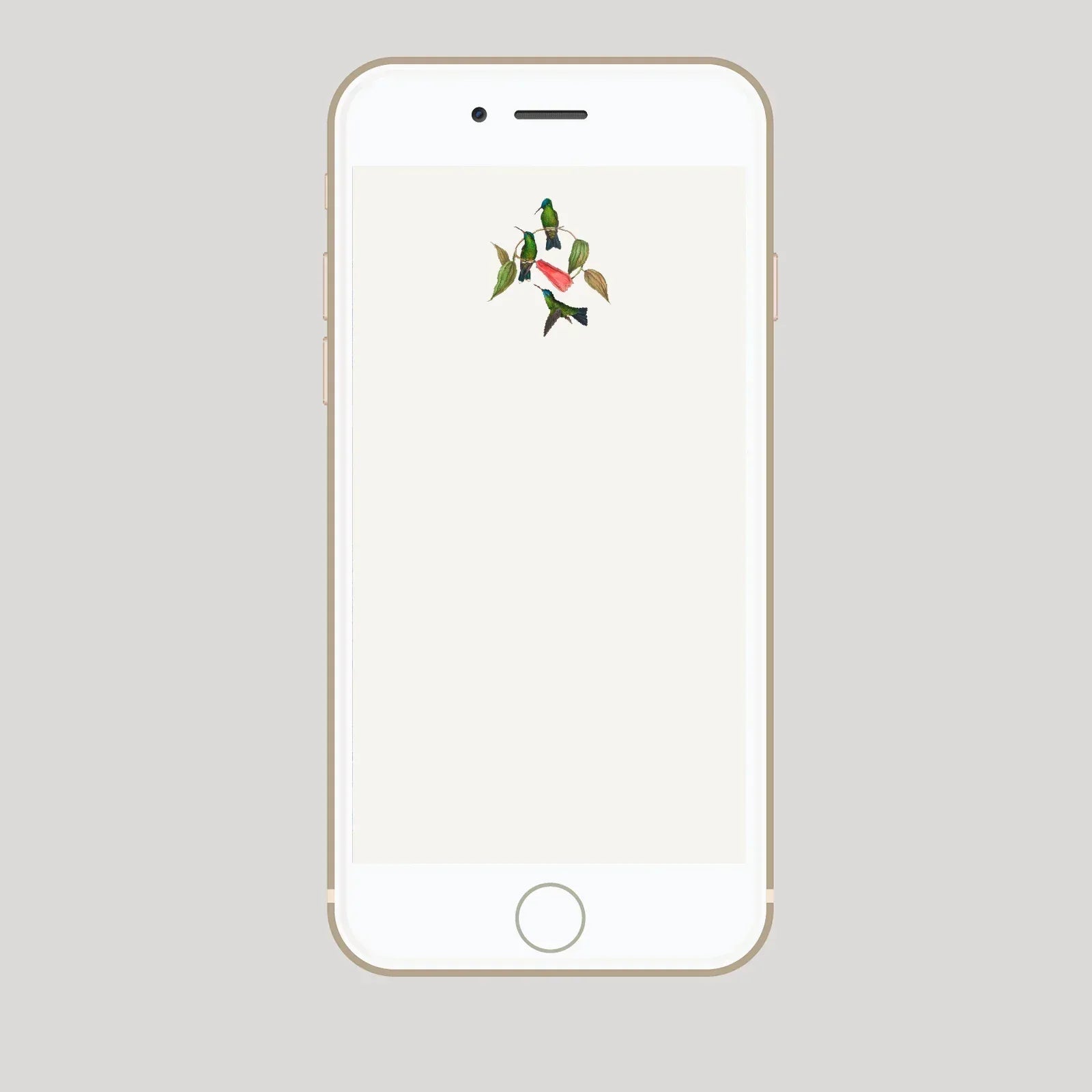 INVITACION DIGITAL COLIBRI