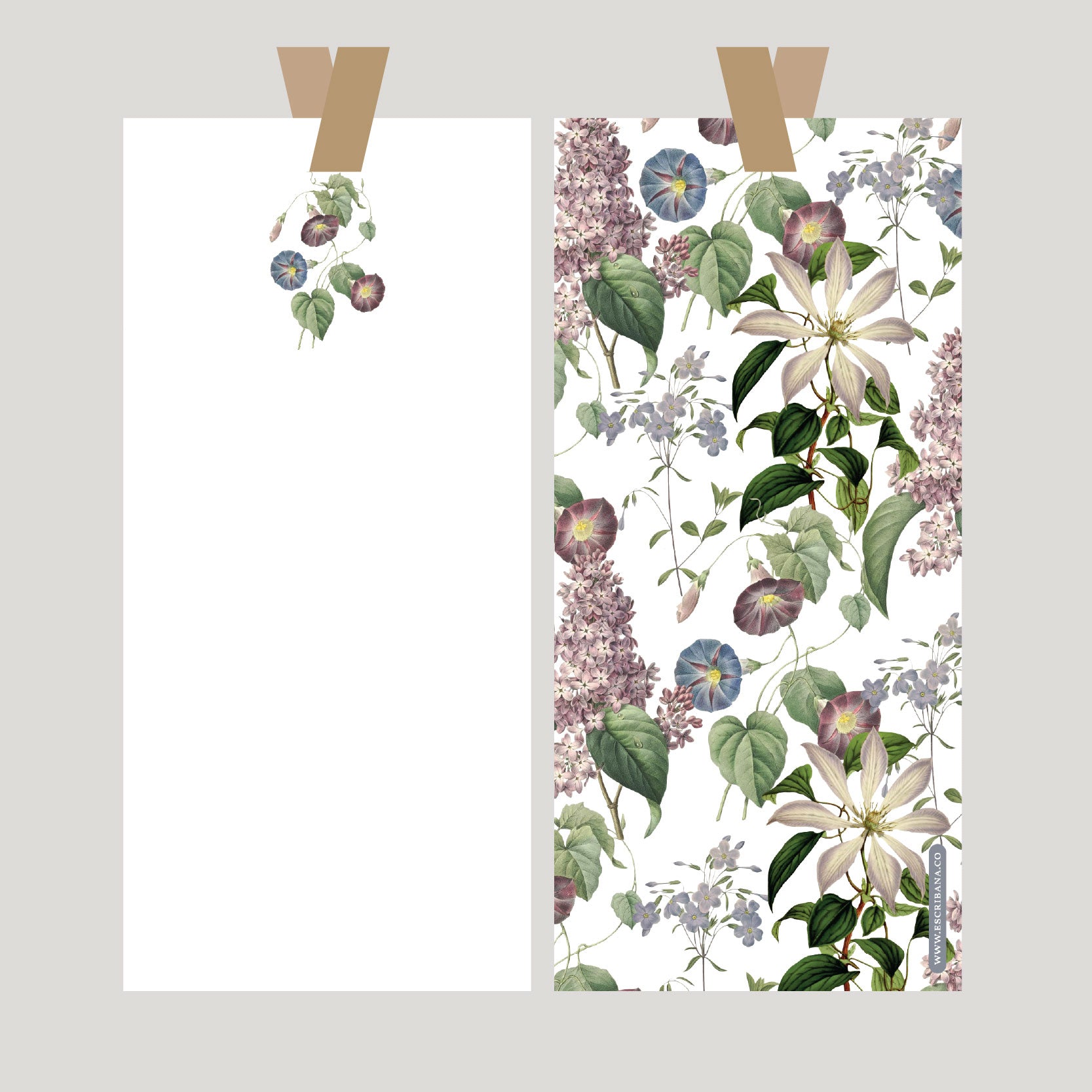 REGISTROS / FOLIOS PURPURA