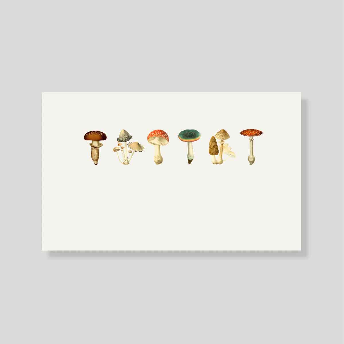 Tarjeta Personal Mush con sobre