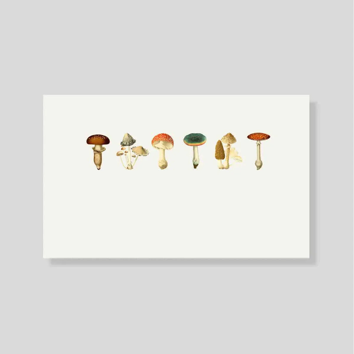 Tarjeta Personal Mush (Hor)