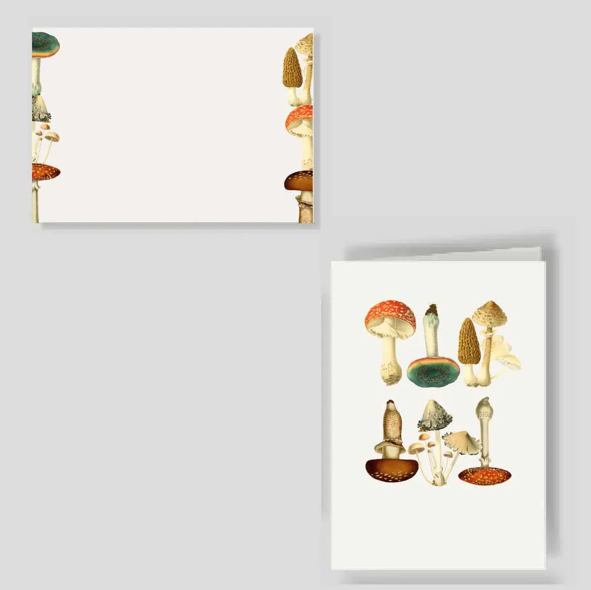 Tarjetón + Tarjetón doble MUSH