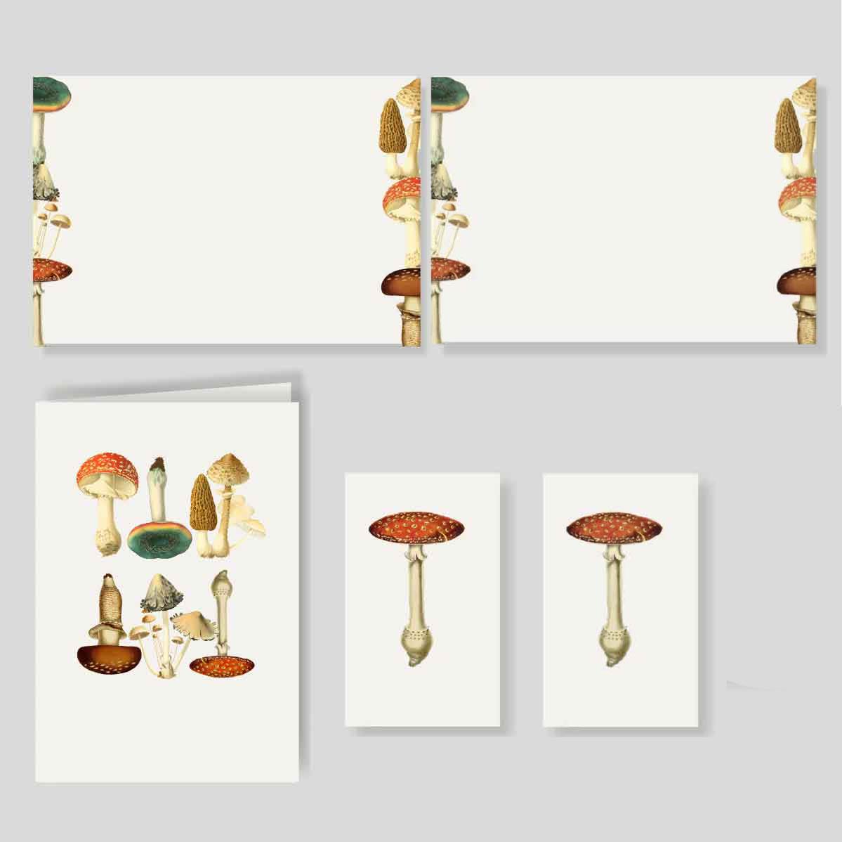 CAJA GRANDE FLEX MUSH