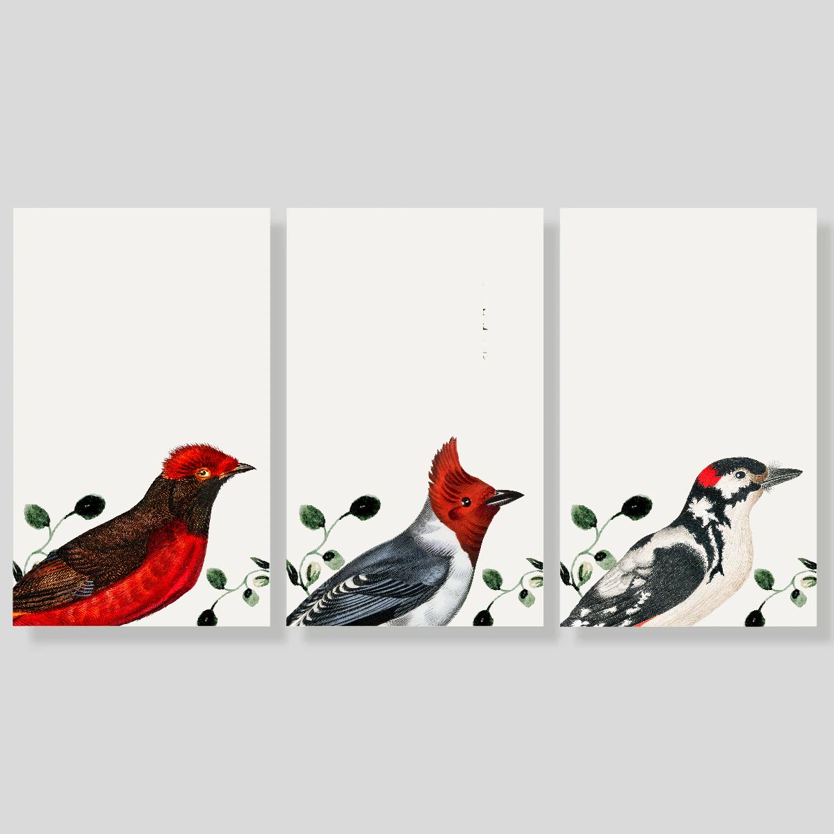 Tarjetas Pajaros X-MAS