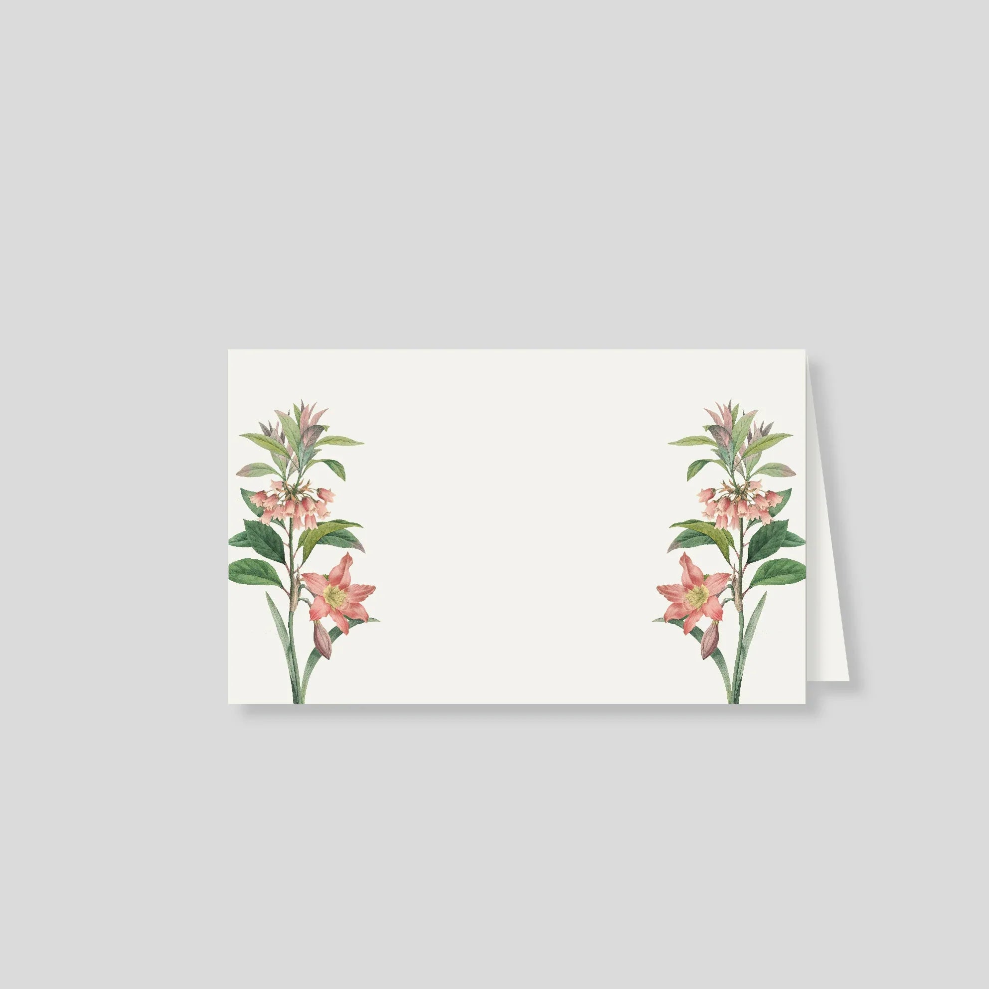 Notas dobles con sobre Rosado