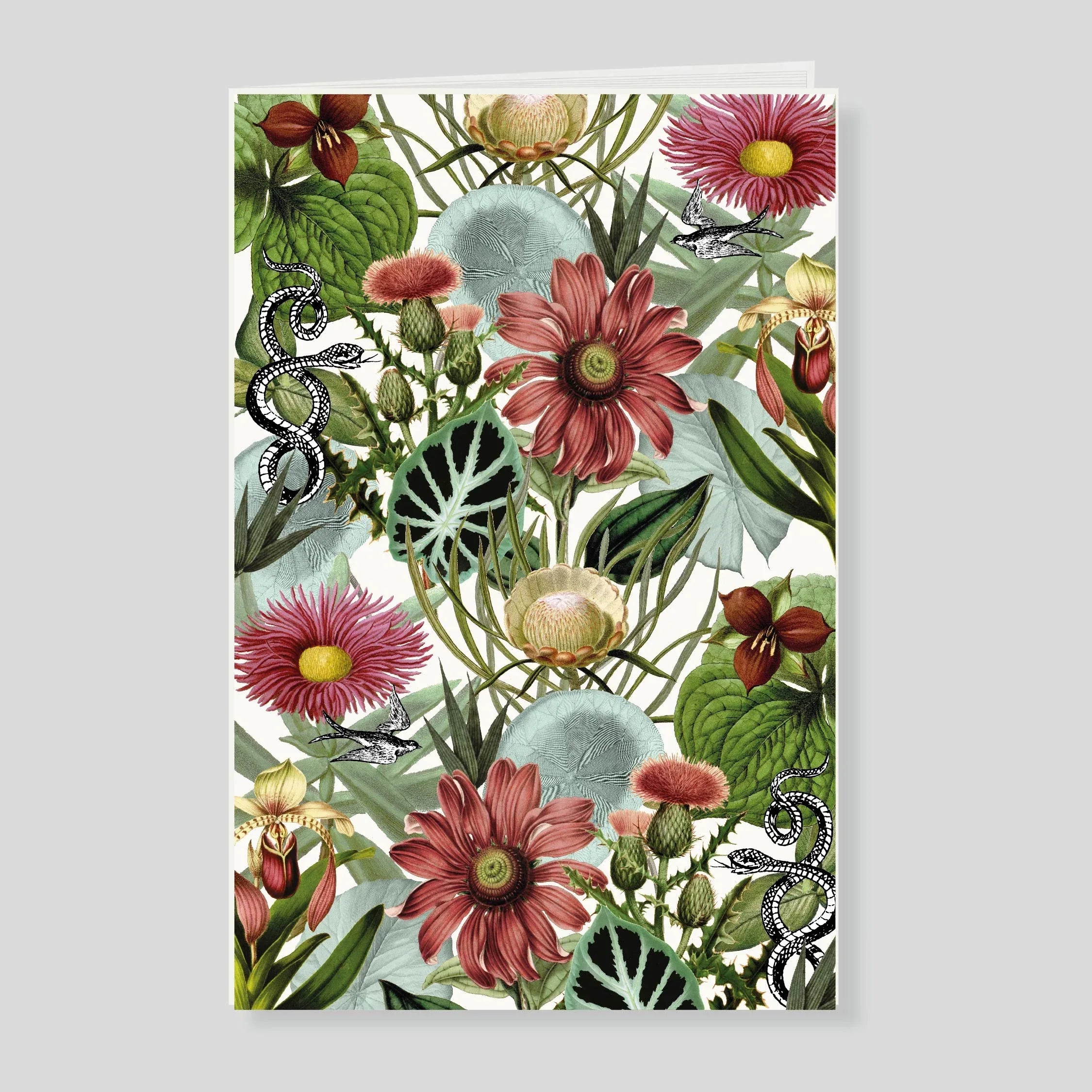 Notas de campo grande Aramacao