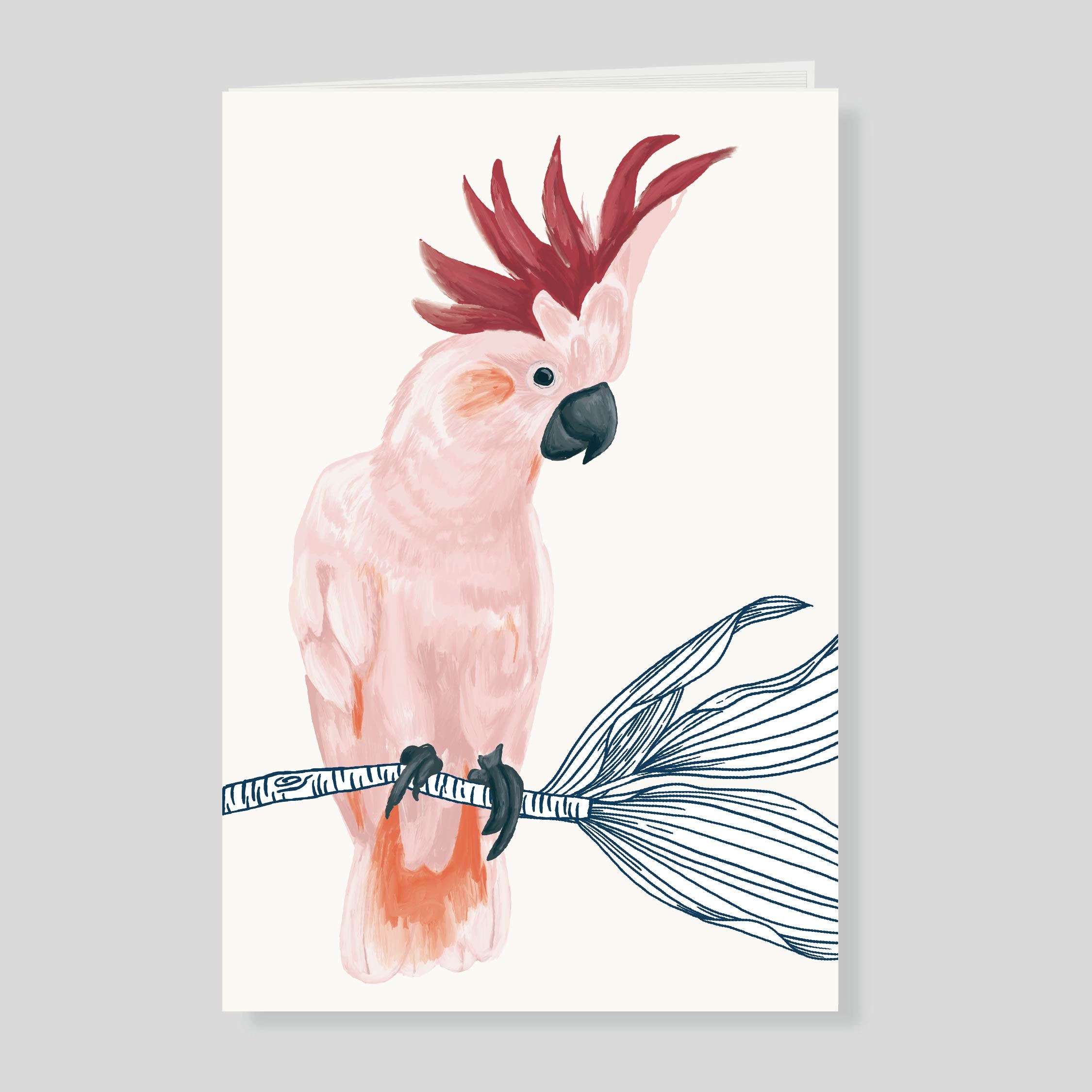 Notas de campo grande Nido