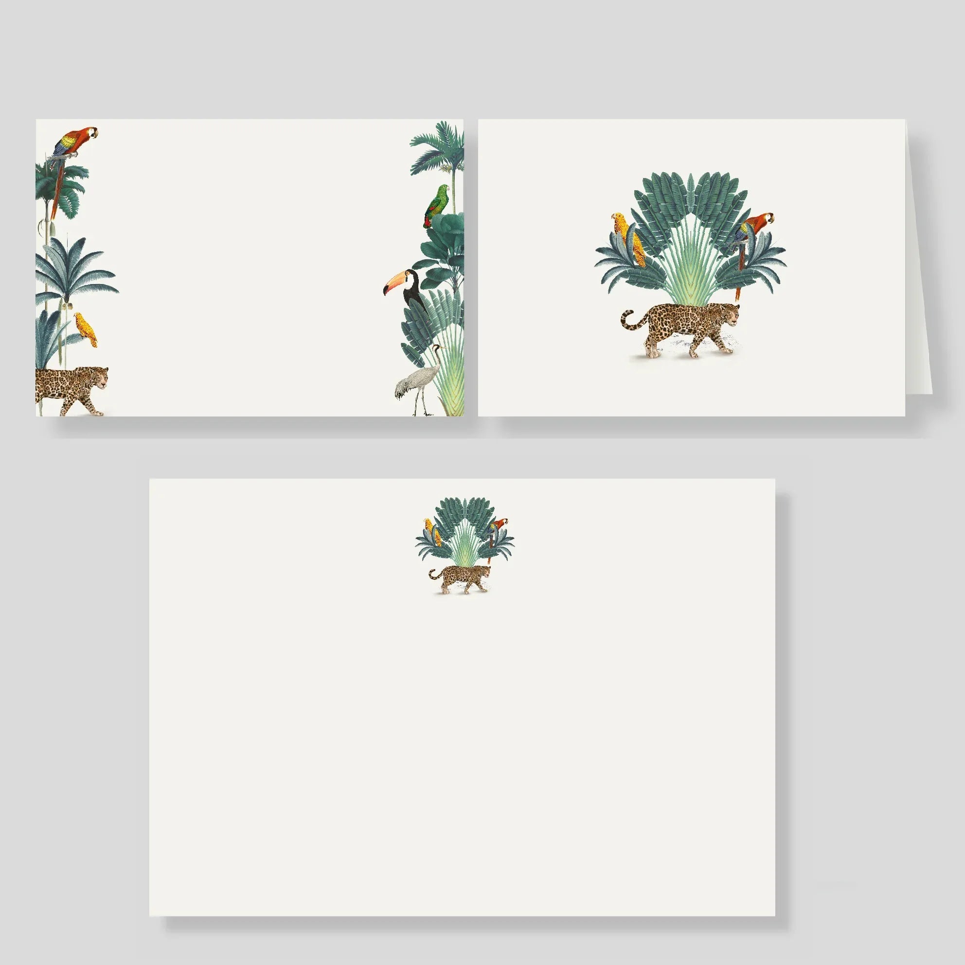 Pack Escritorio-Amazonas (Listas para llevar)
