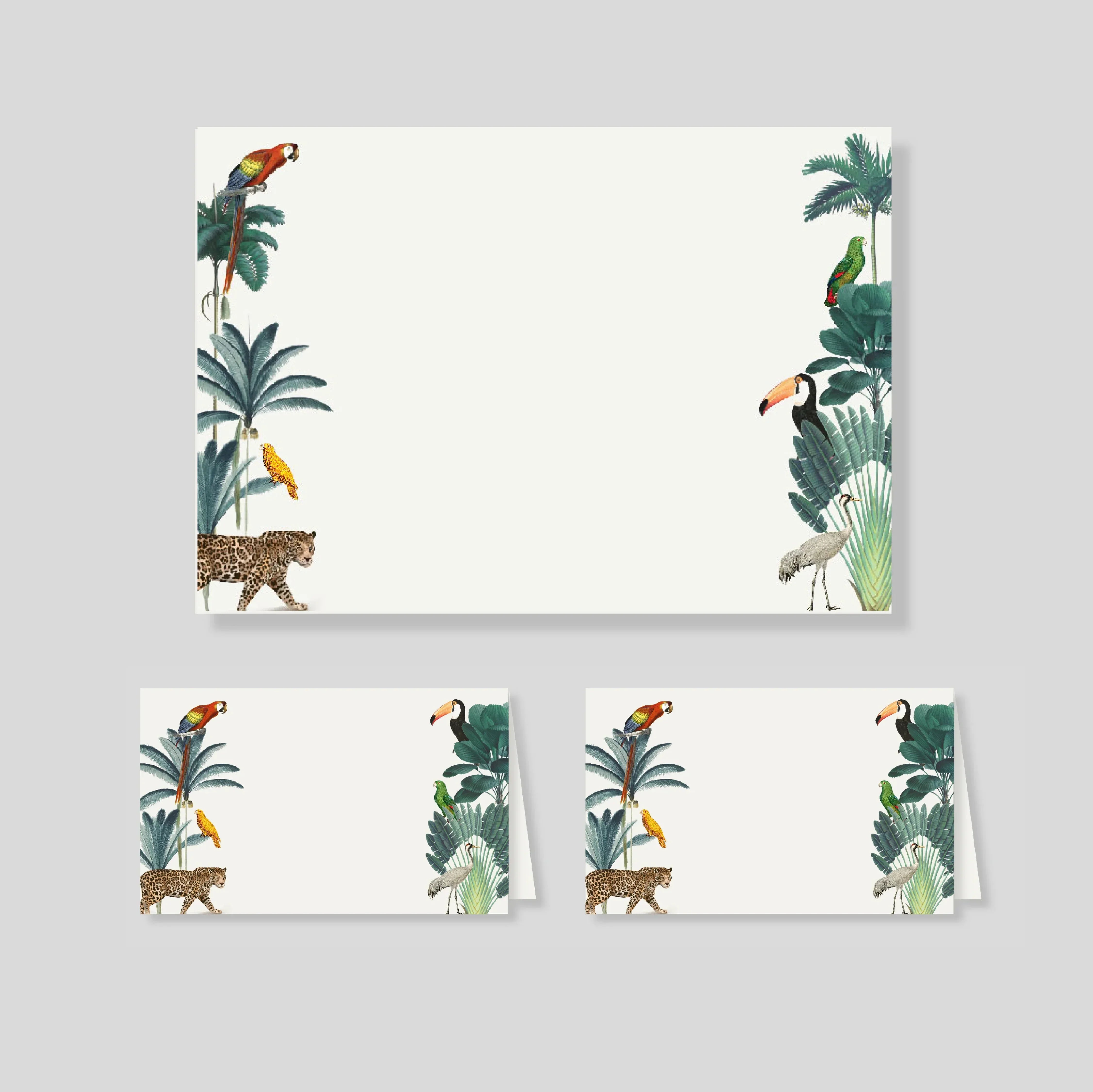 Pack tarjetón sencillo + notas dobles Amazonas (listos para llevar)