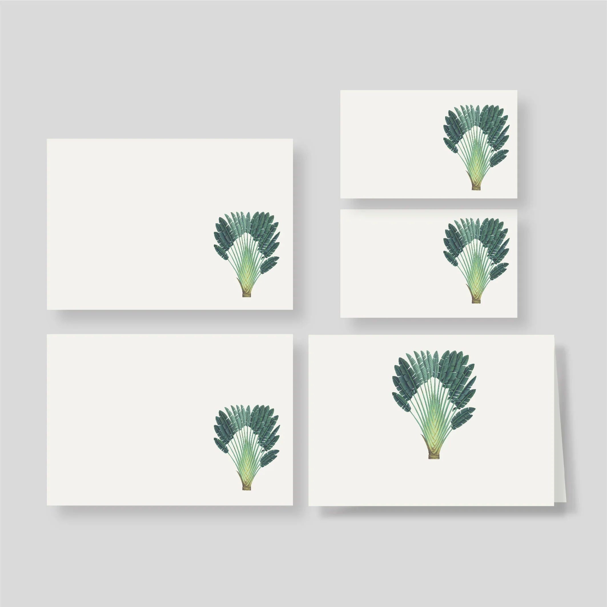 Caja Grande Flex Palma