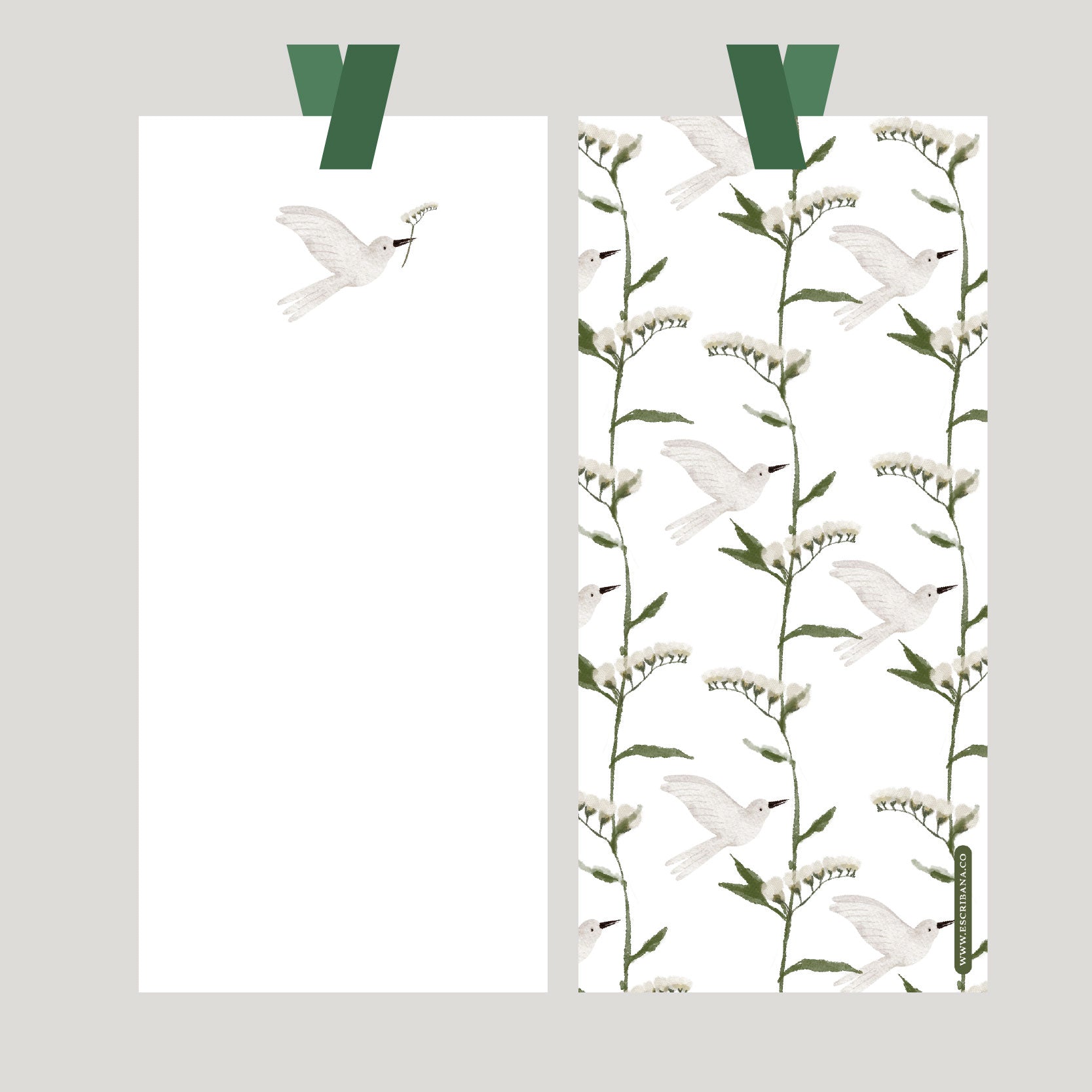 REGISTROS / FOLIOS Pajarito