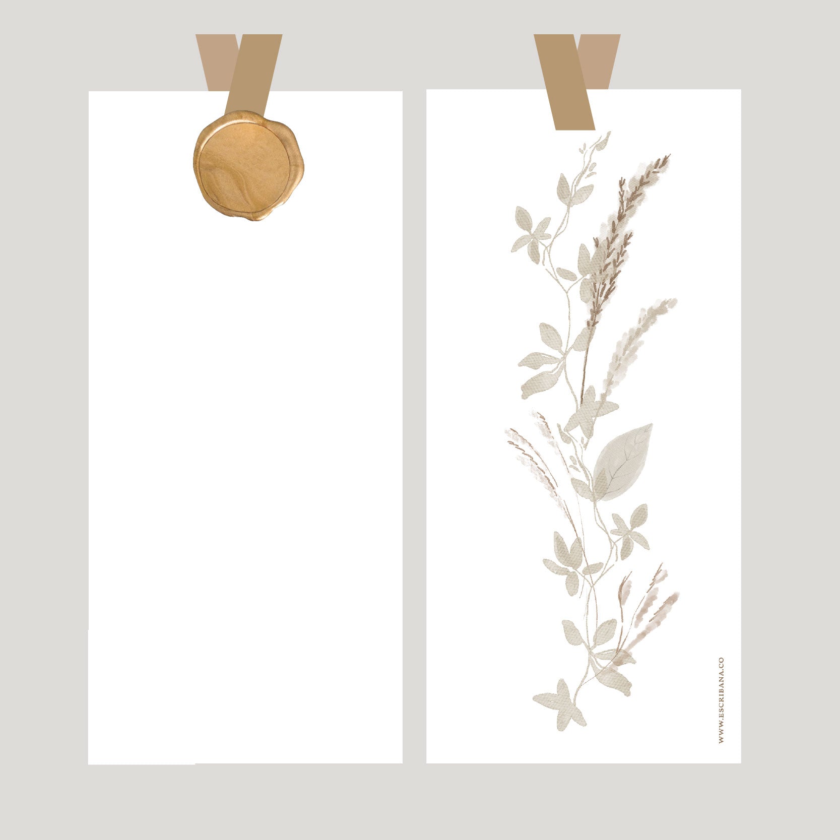 REGISTROS / FOLIOS PAMPA CON LACRE