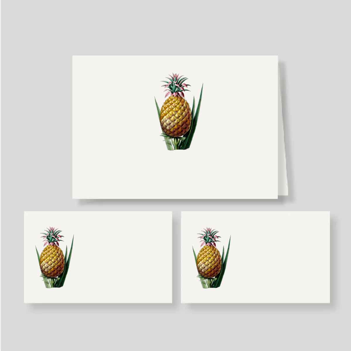 Caja Mediana Doble Piña