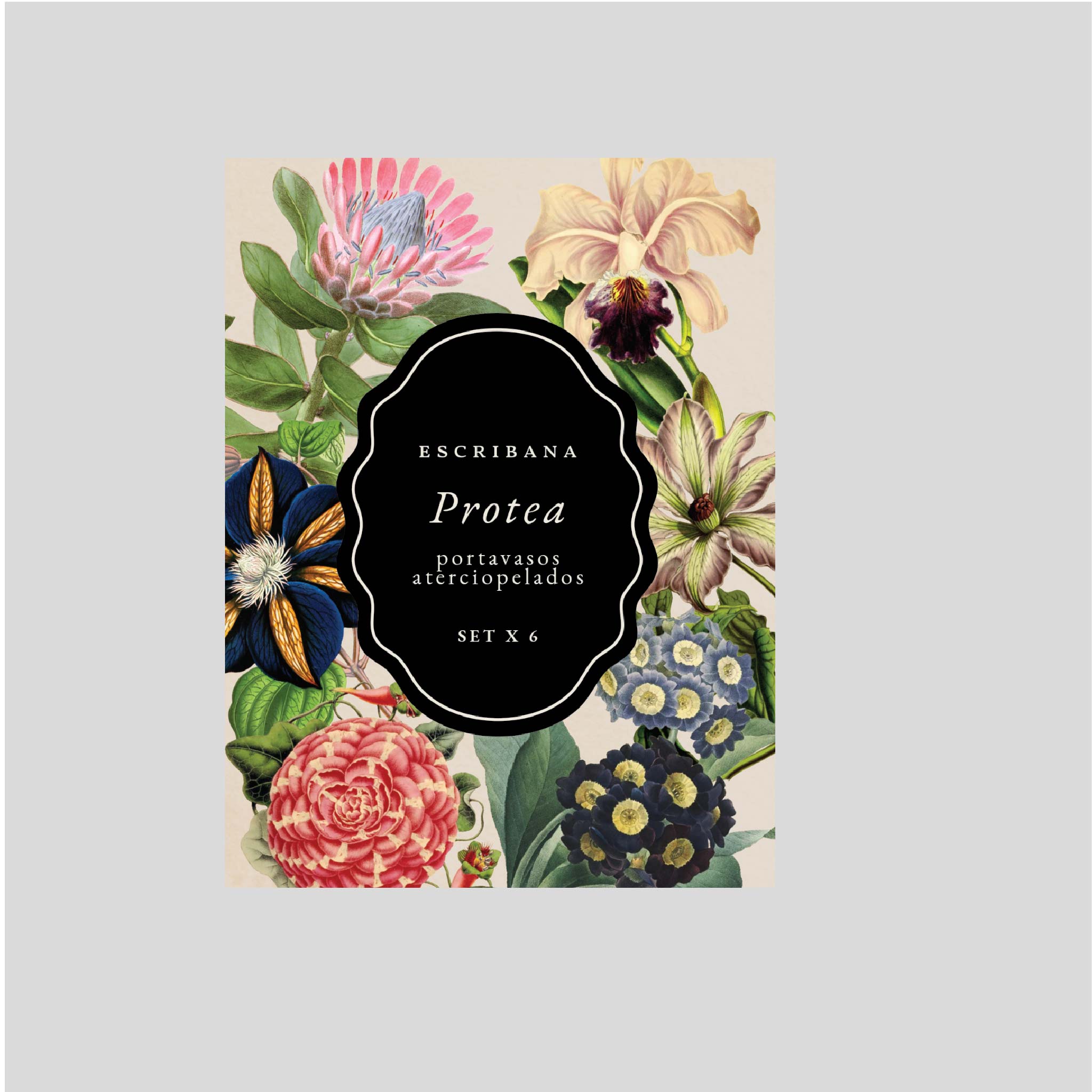 Portavasos Protea