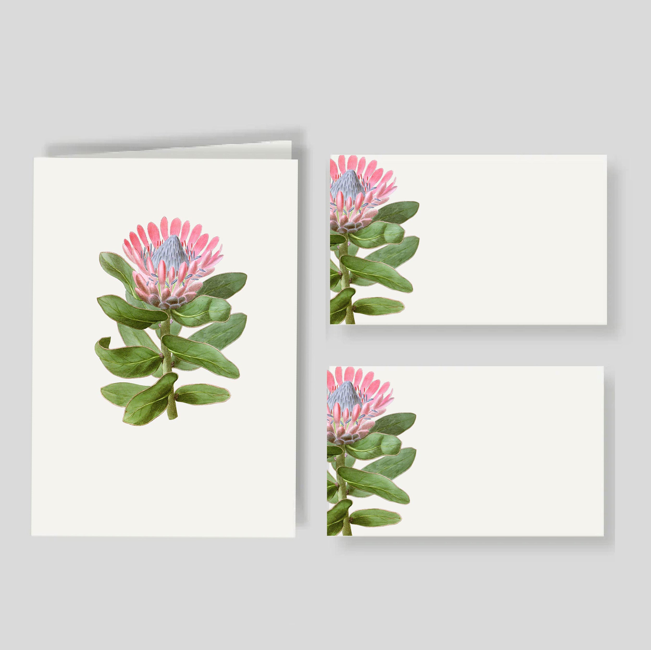 Caja Mediana Doble Protea