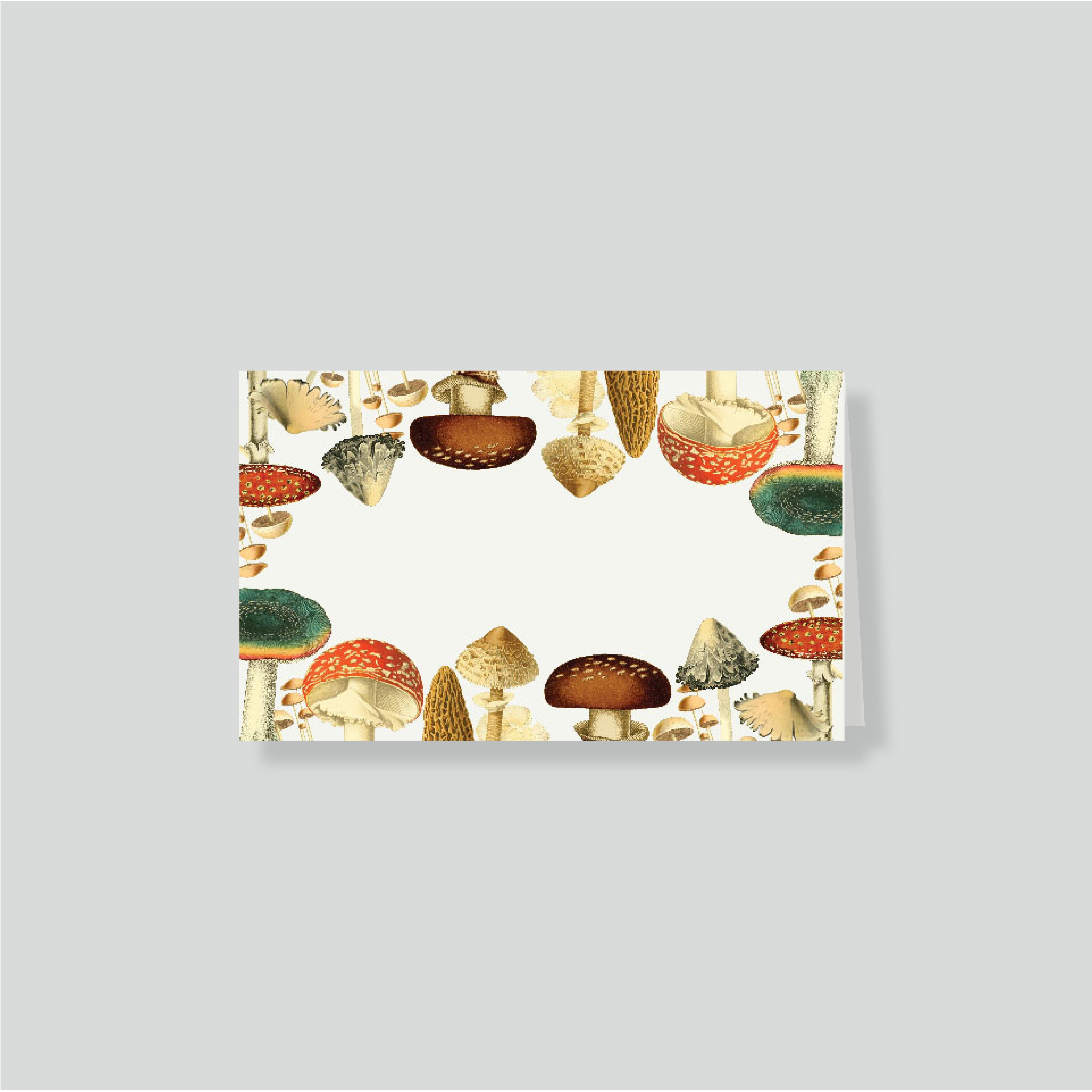 Notas dobles con sobre Mush (listos para llevar)