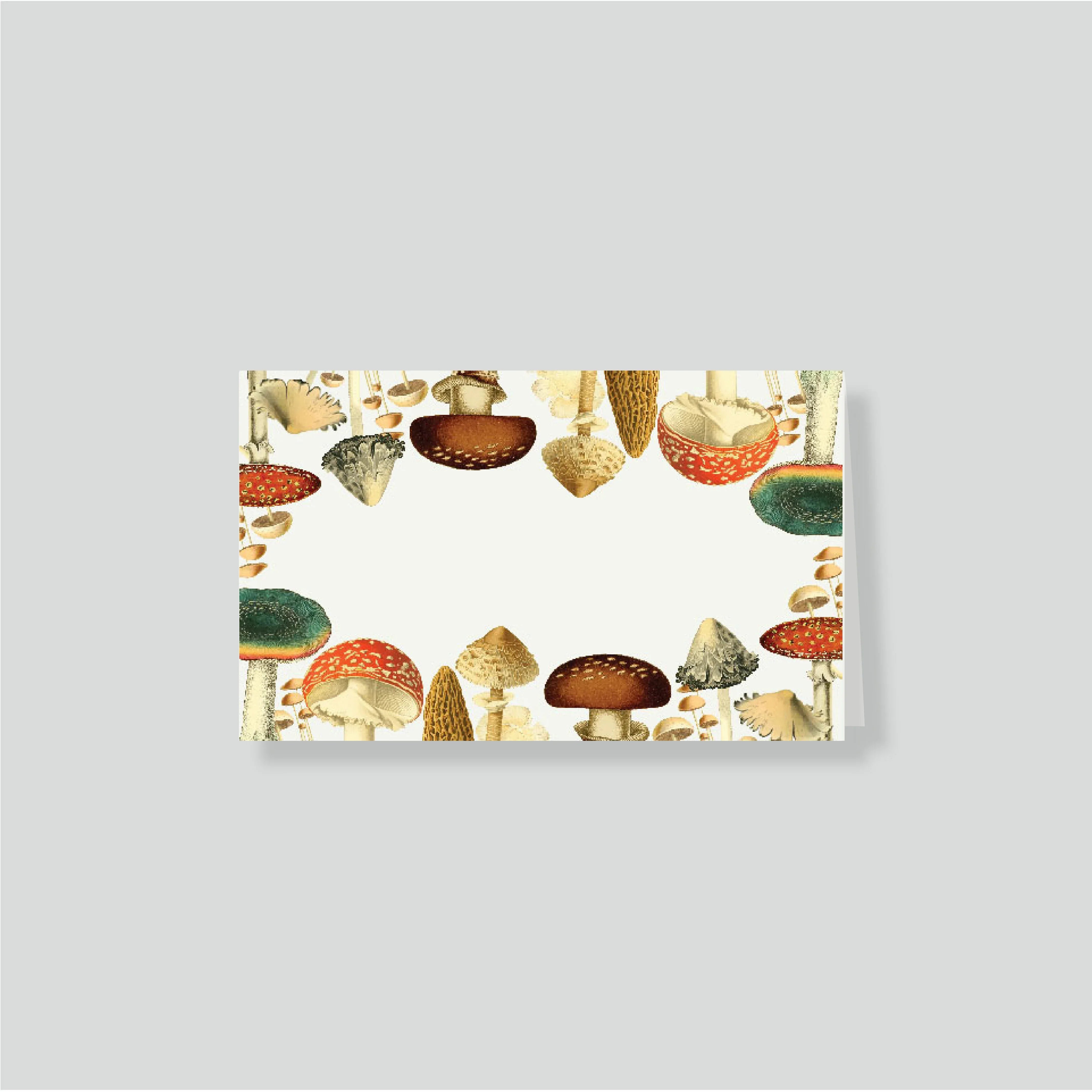 Notas dobles con sobre Mush (listos para llevar)