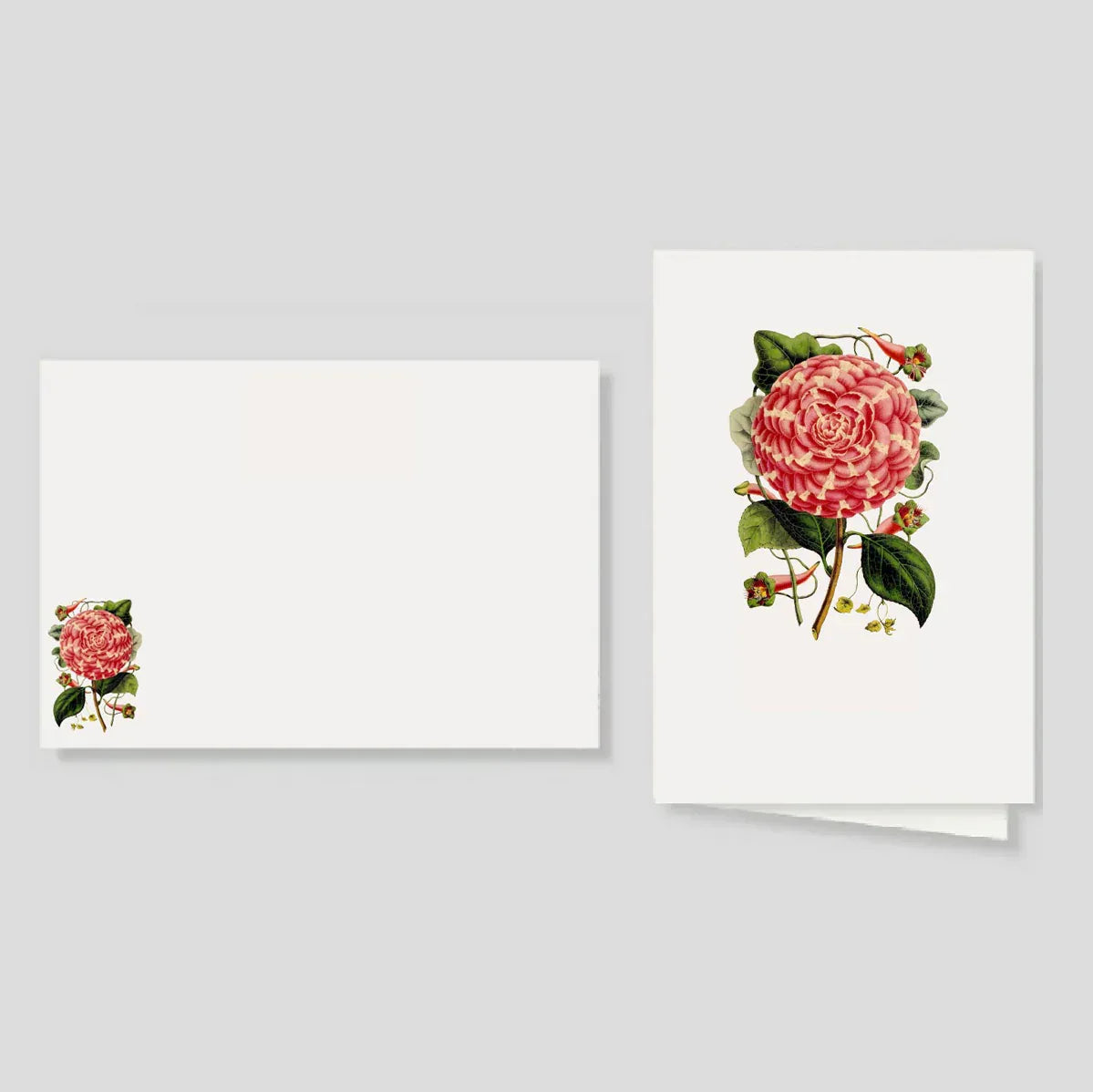 Tarjetón + Tarjetón doble Rosa de Jardin