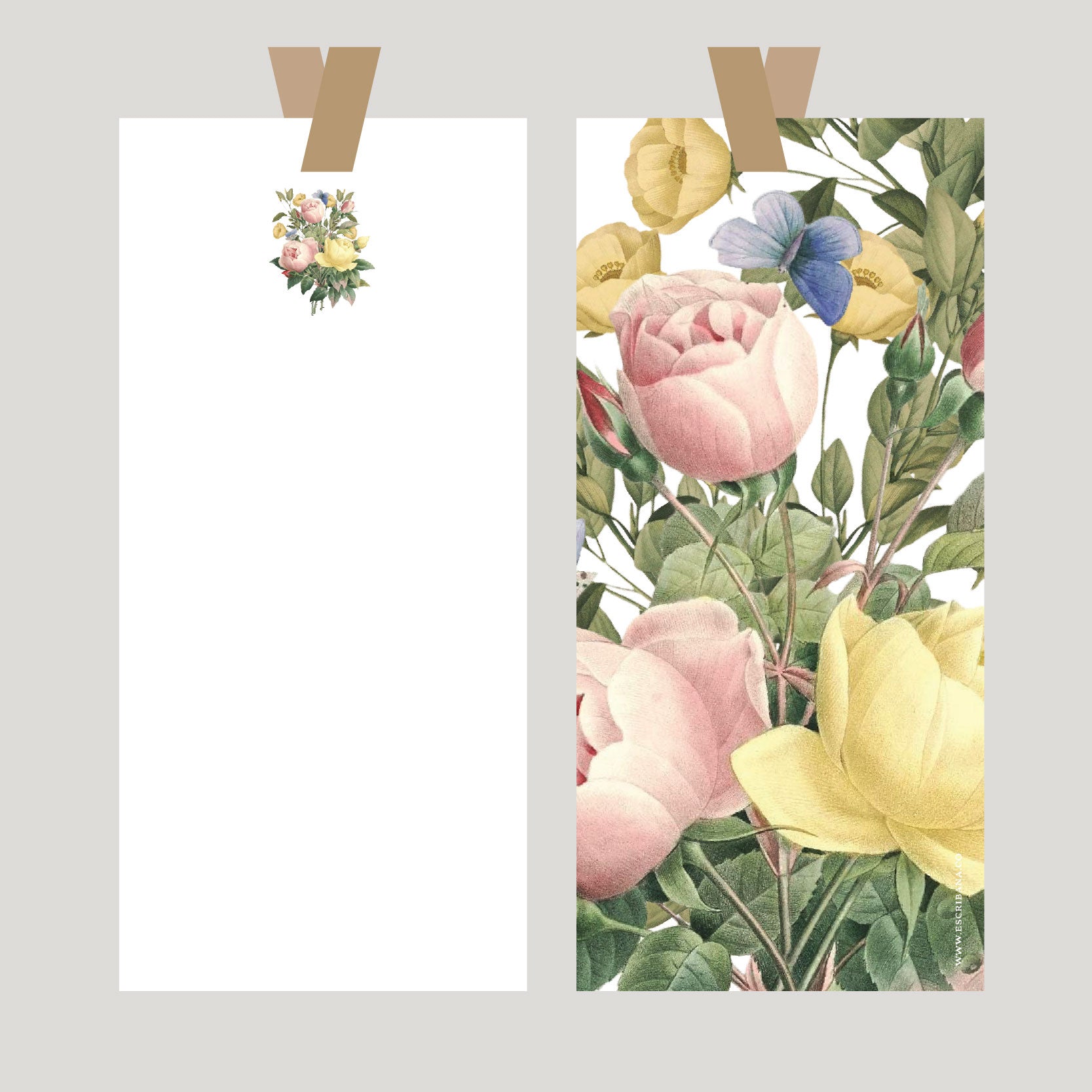 REGISTROS / FOLIOS ROSA INGLESA