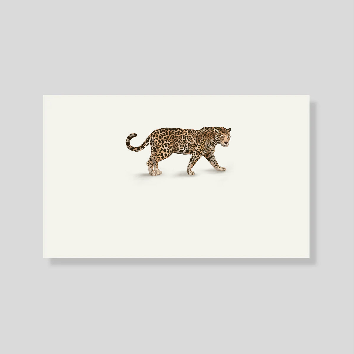 Tarjeta Personal Selva H
