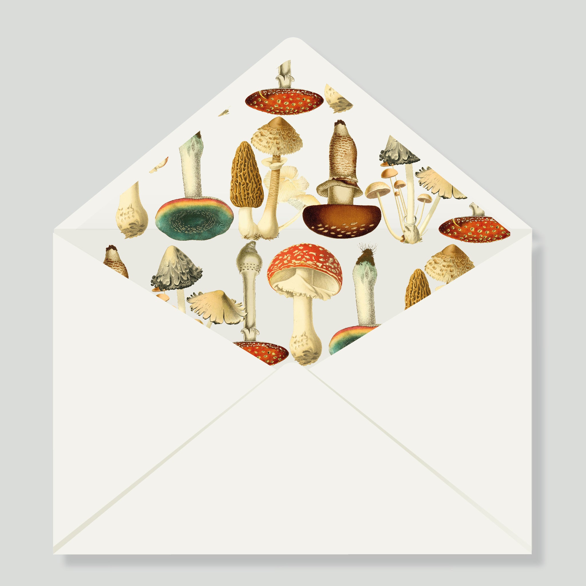 Caja Grande Luxe Mush (80 Tarjetas)