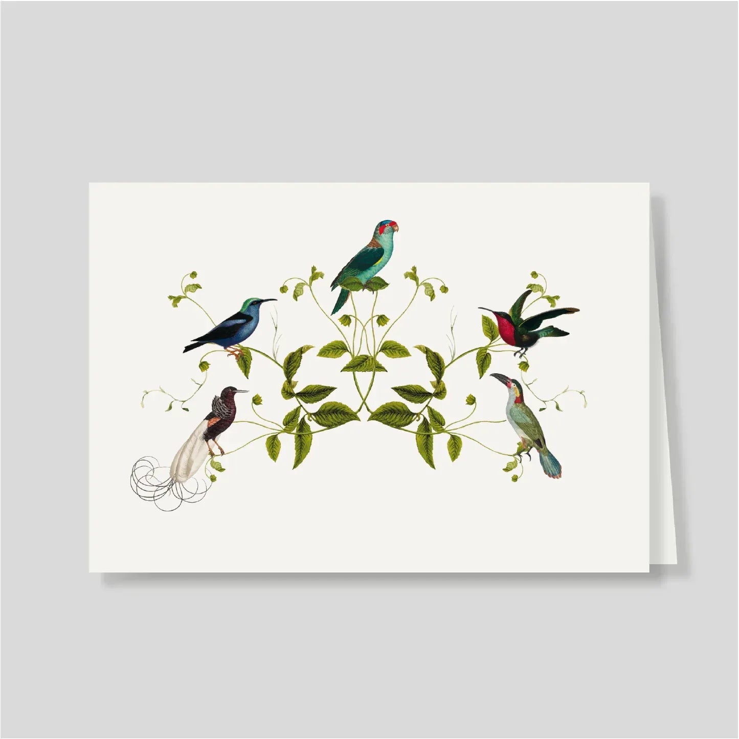 Tarjetón Doble Aviario