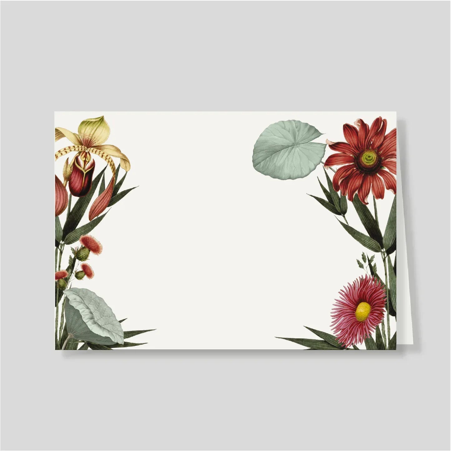 Tarjetón Doble equinacea