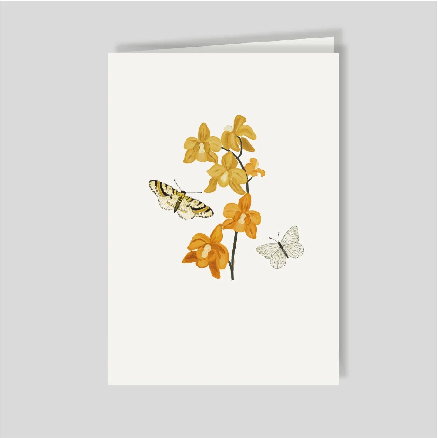 Tarjetón doble Macondo