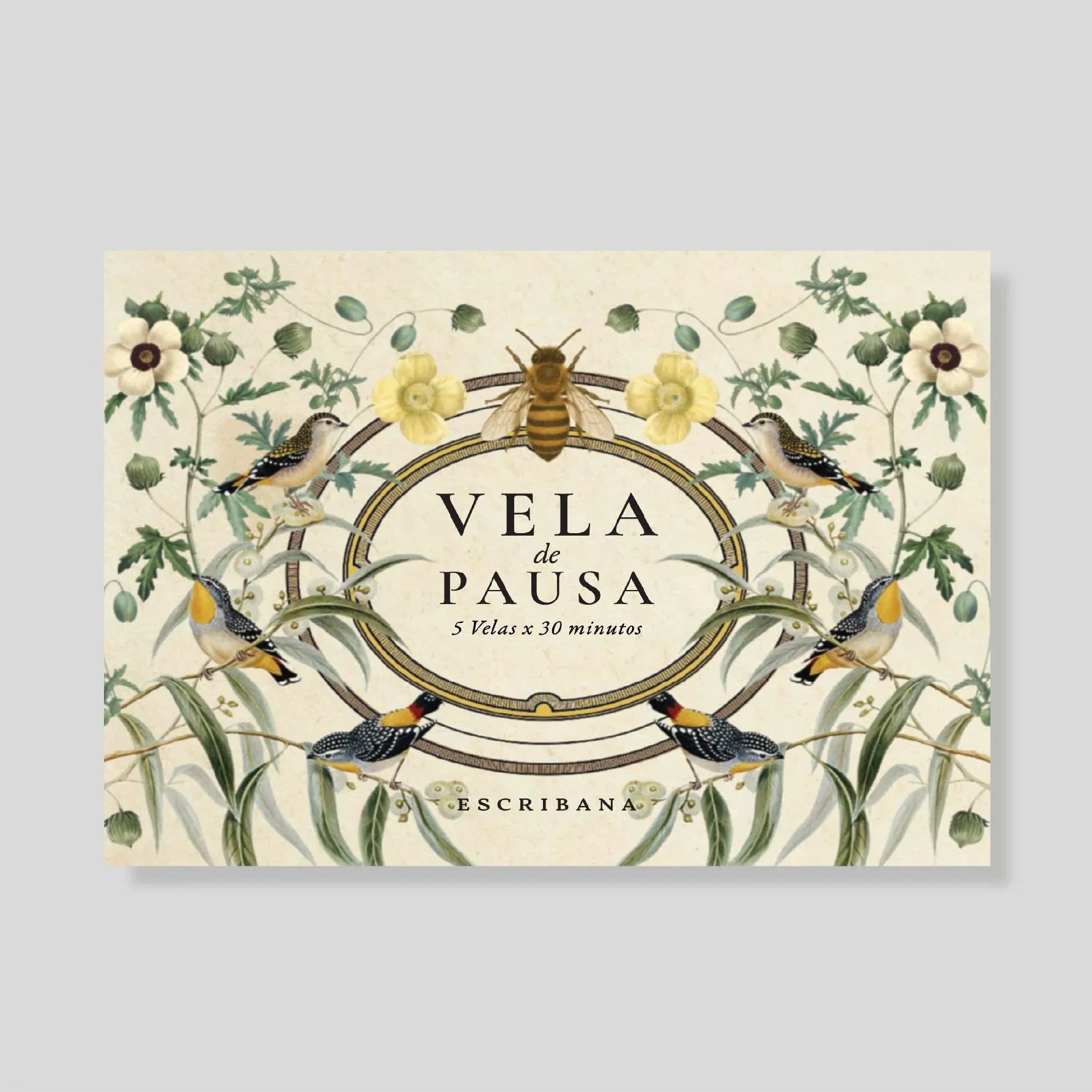 Vela de pausa + fósforos