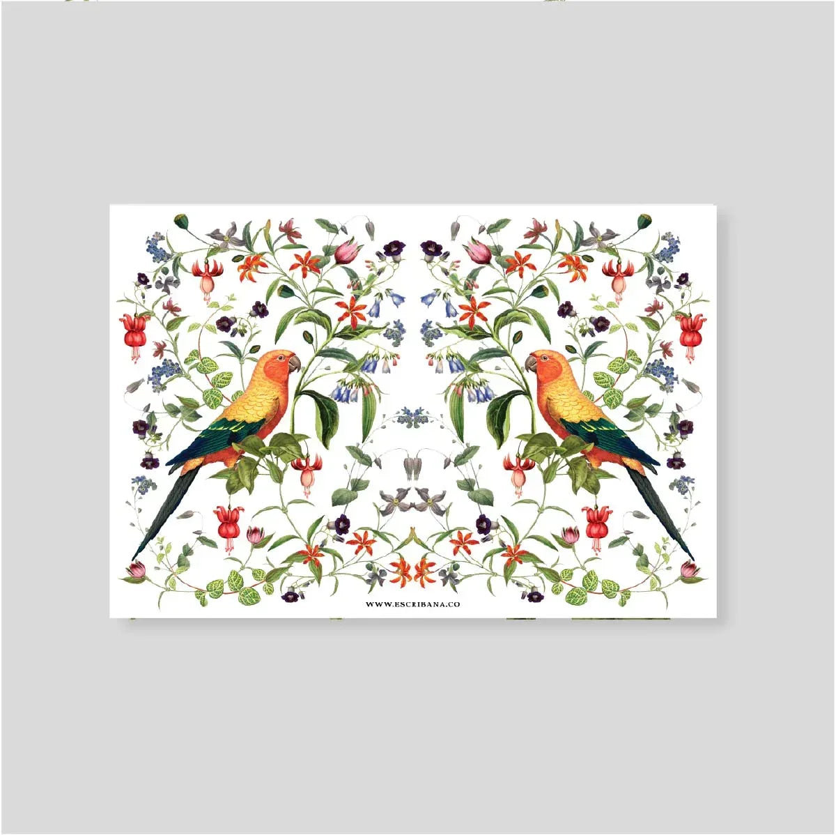 TARJETON XL Santuario