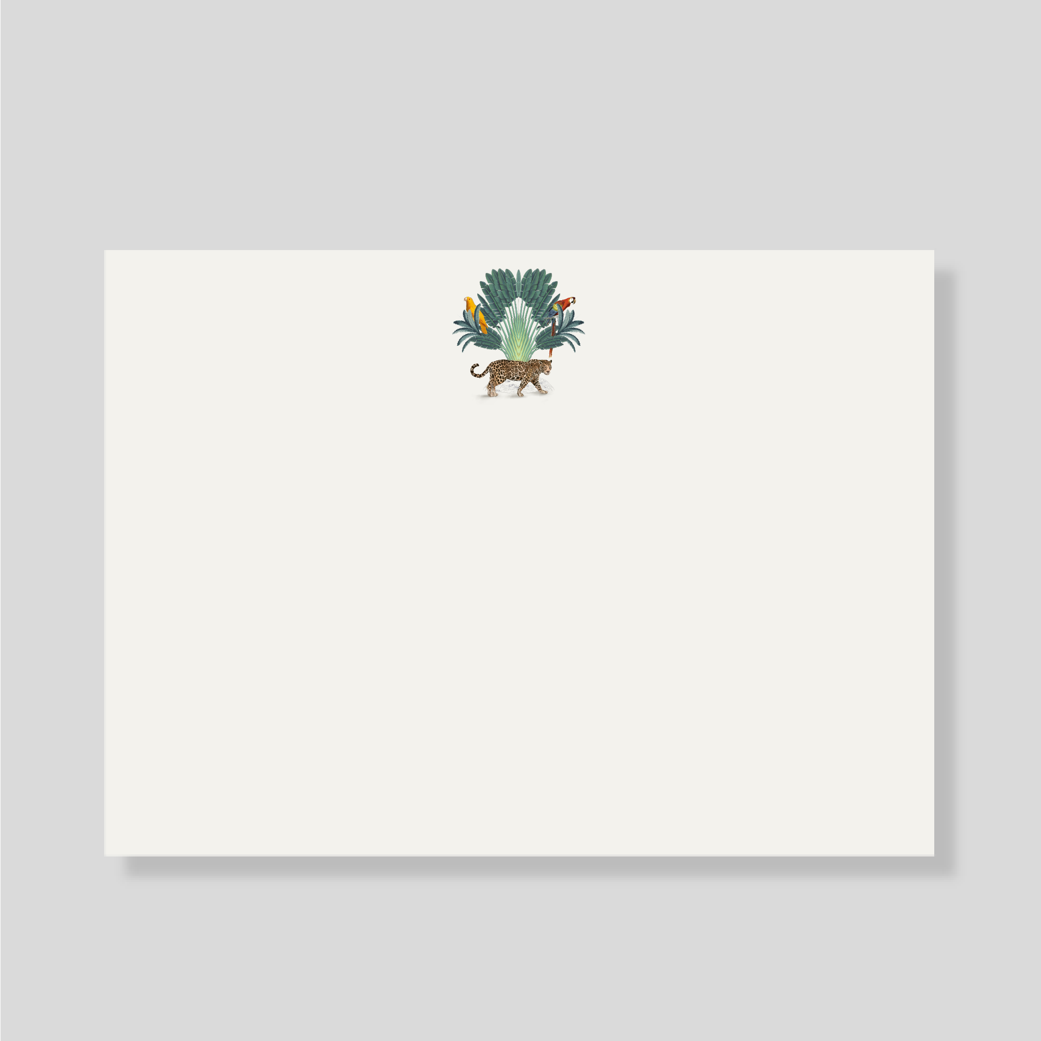 Tarjetones XL amazonas (Listas para llevar)