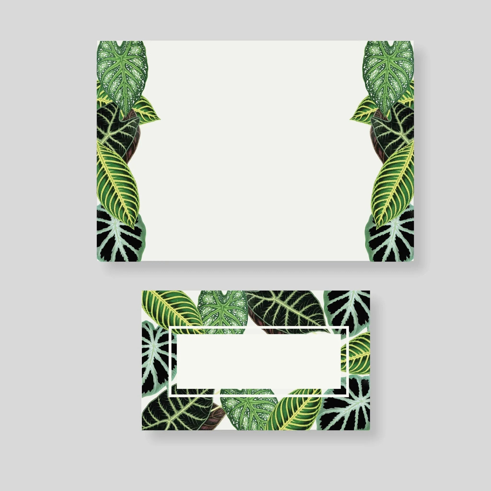 Caja pequeña Verde - Escribana