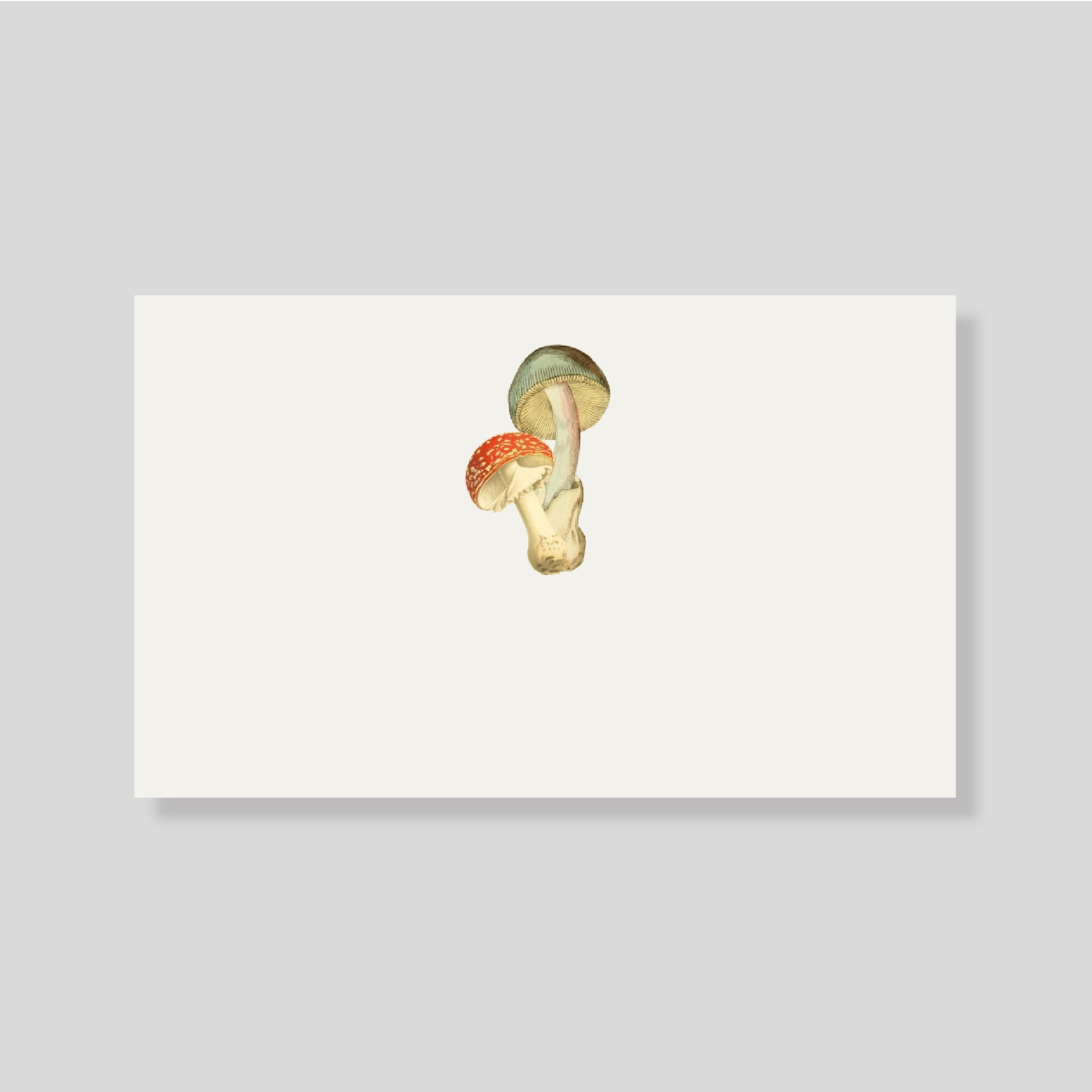 TARJETA PERSONAL MUSH COUPLE - Escribana