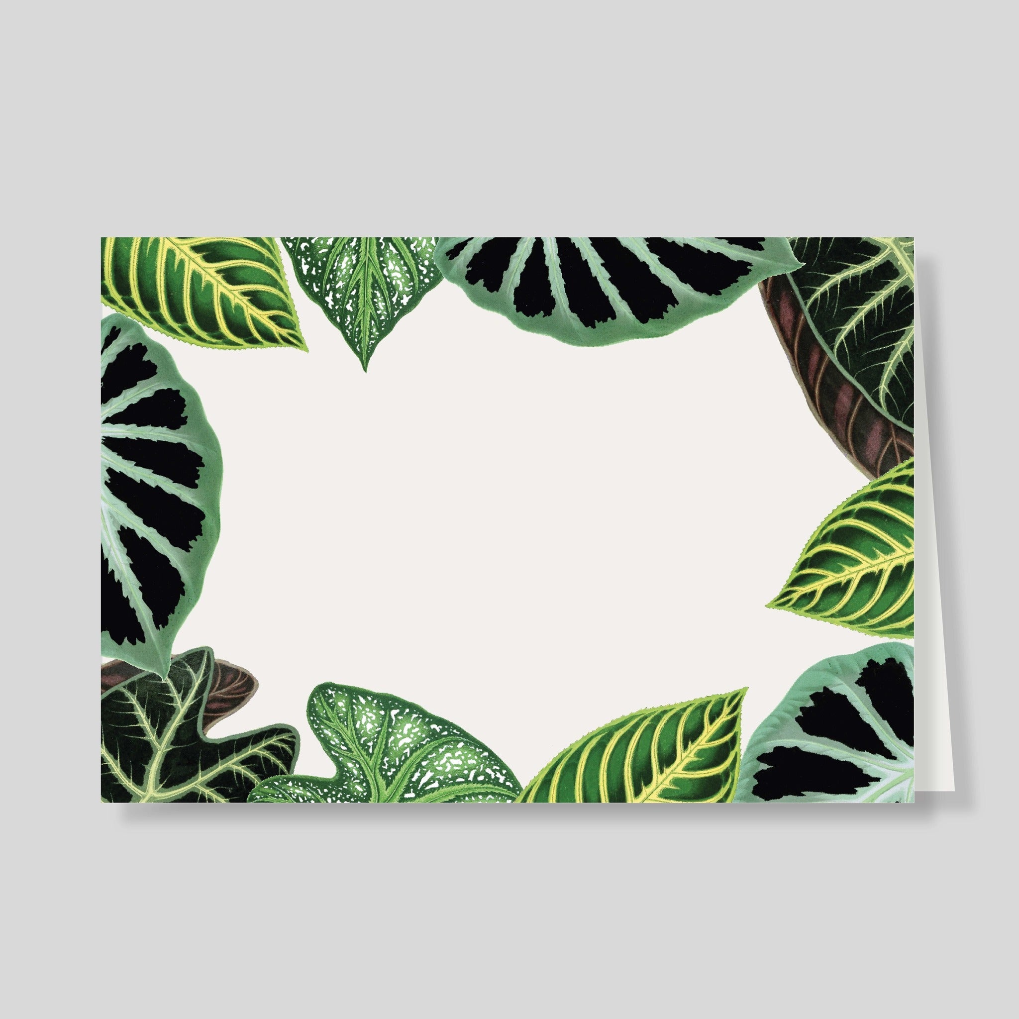 Tarjetón Doble Verde - Escribana