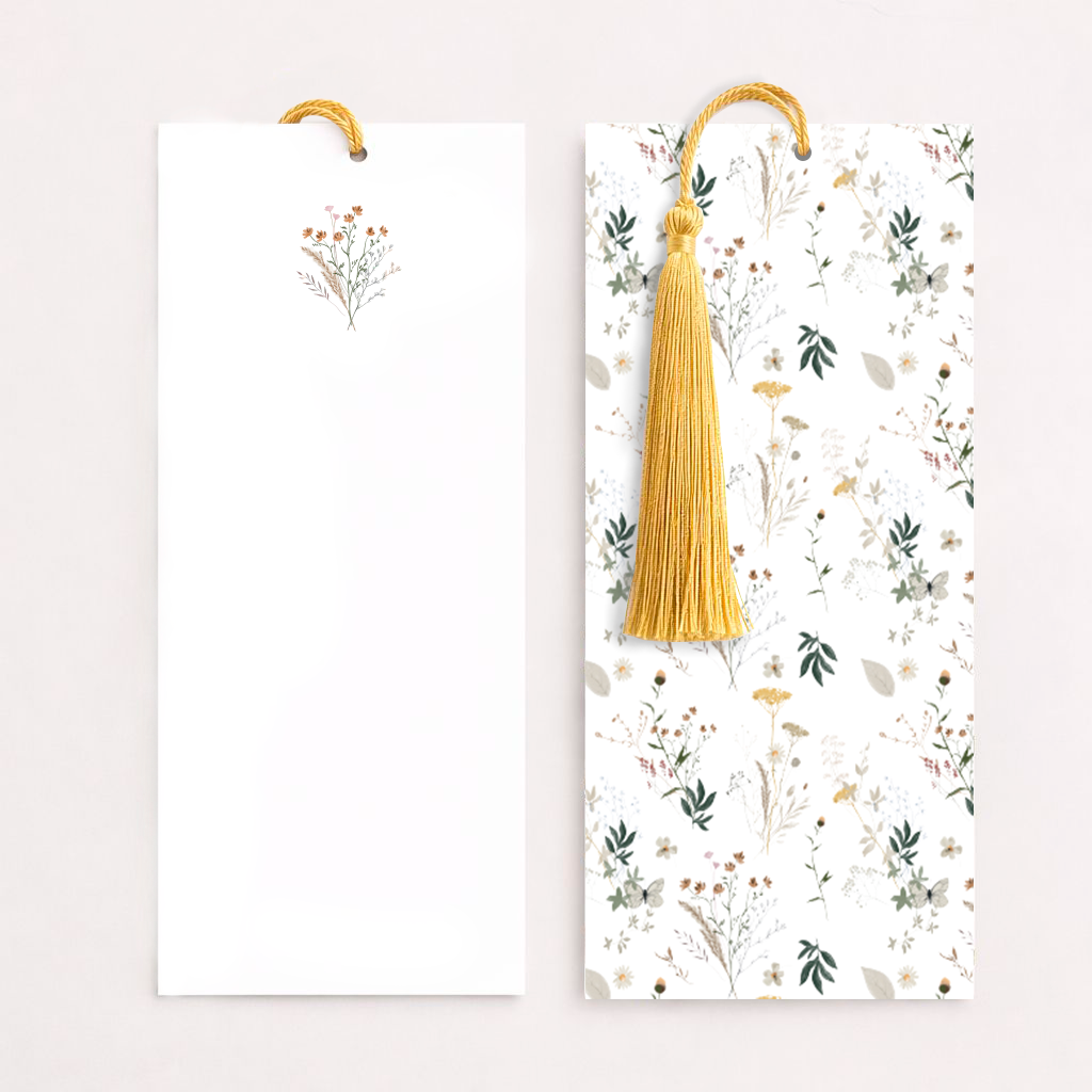 Registros / Folios Cadiz