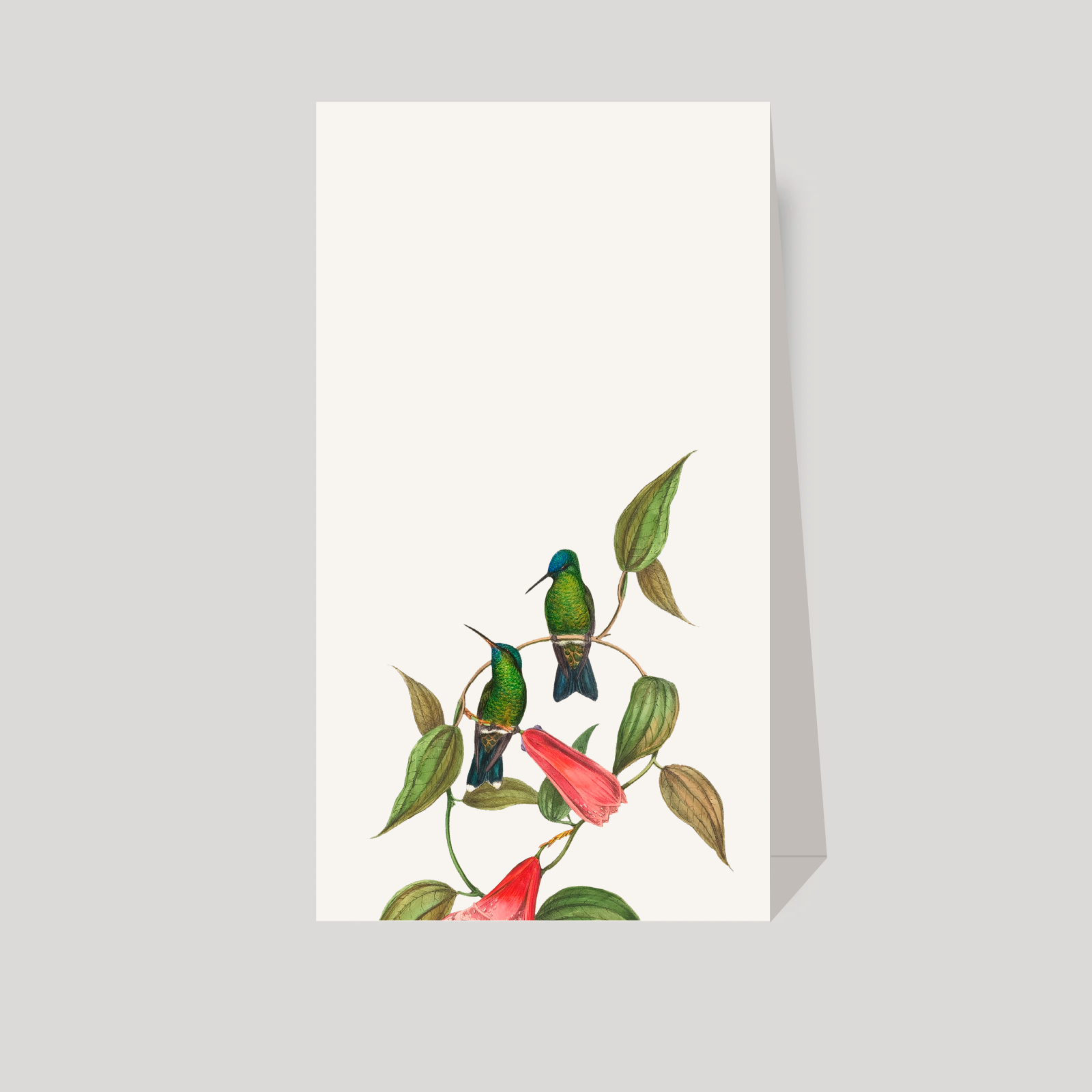 numeros de mesa COLIBRI