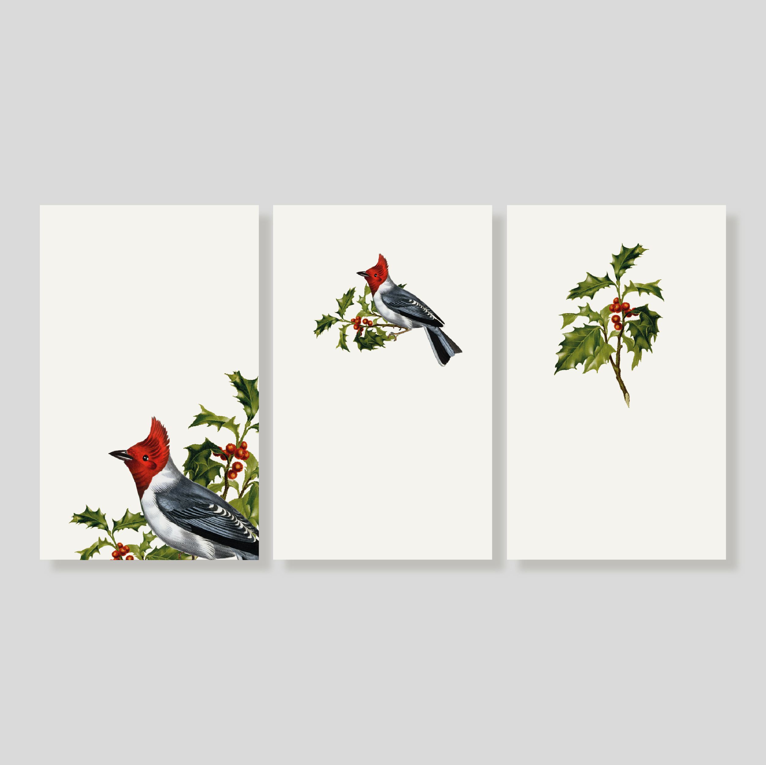 Tarjetas cardenal X-MAS