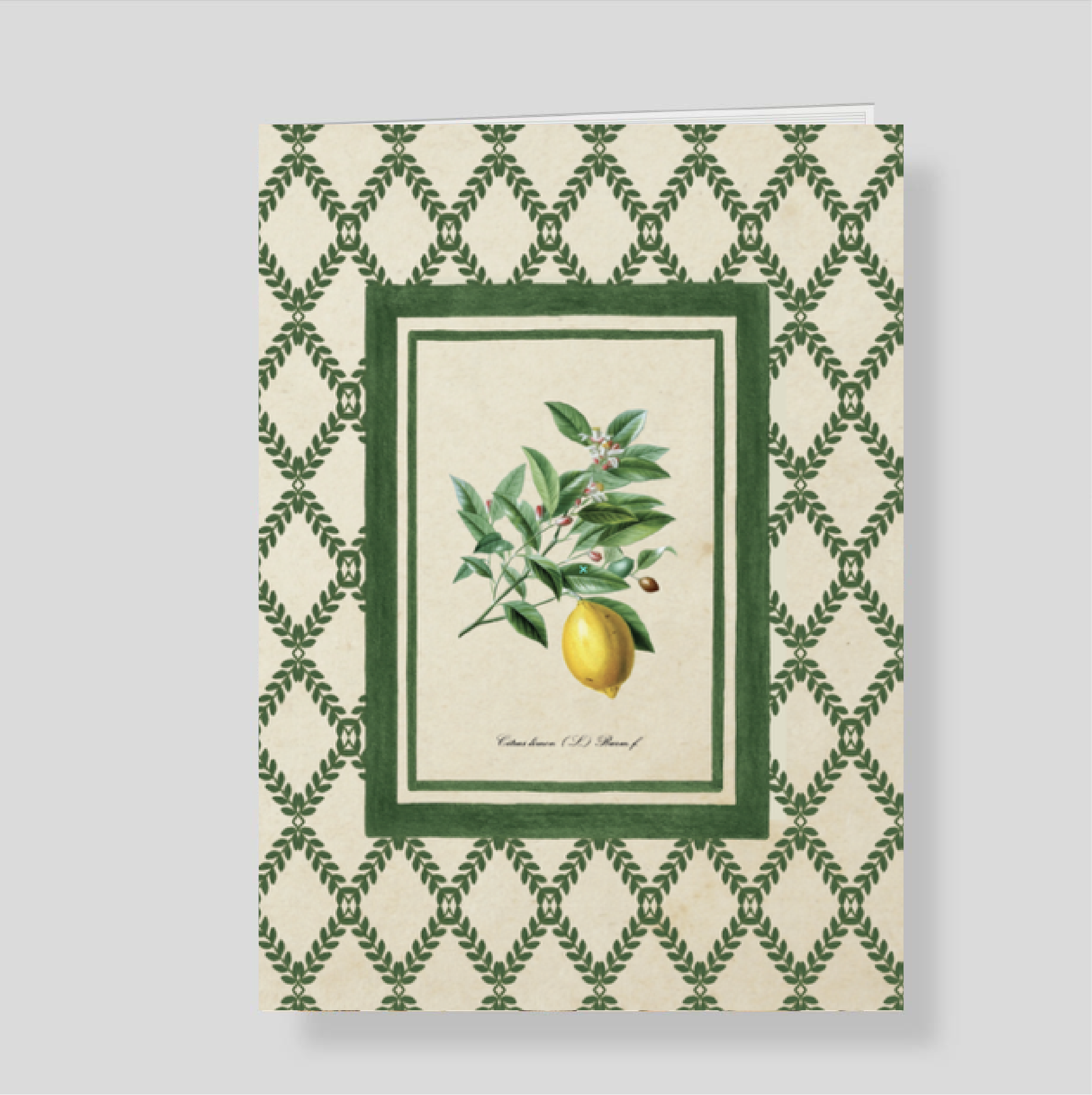 Cuaderno Toscana Listo para llevar